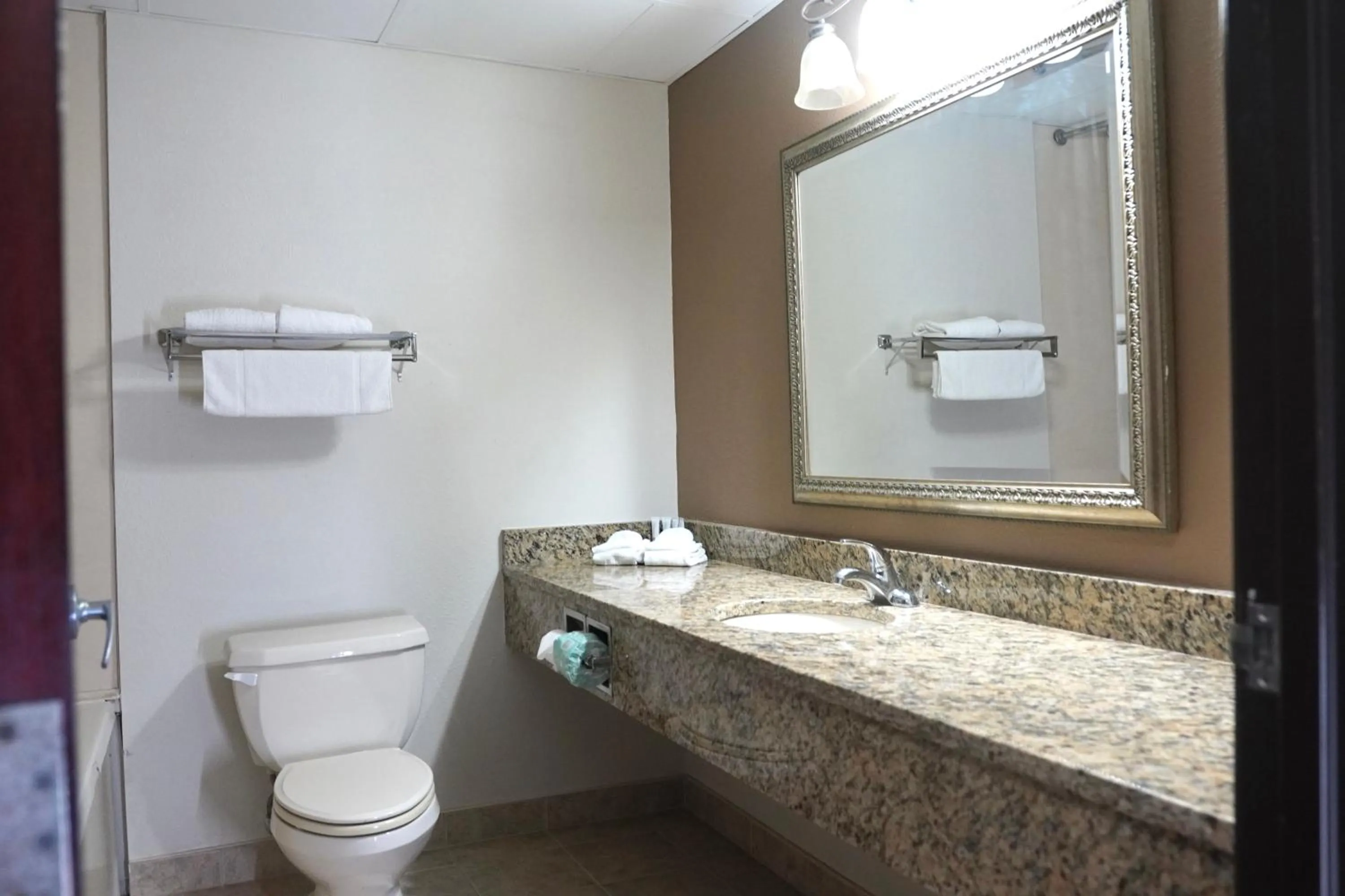 Toilet in American Inn & Suites