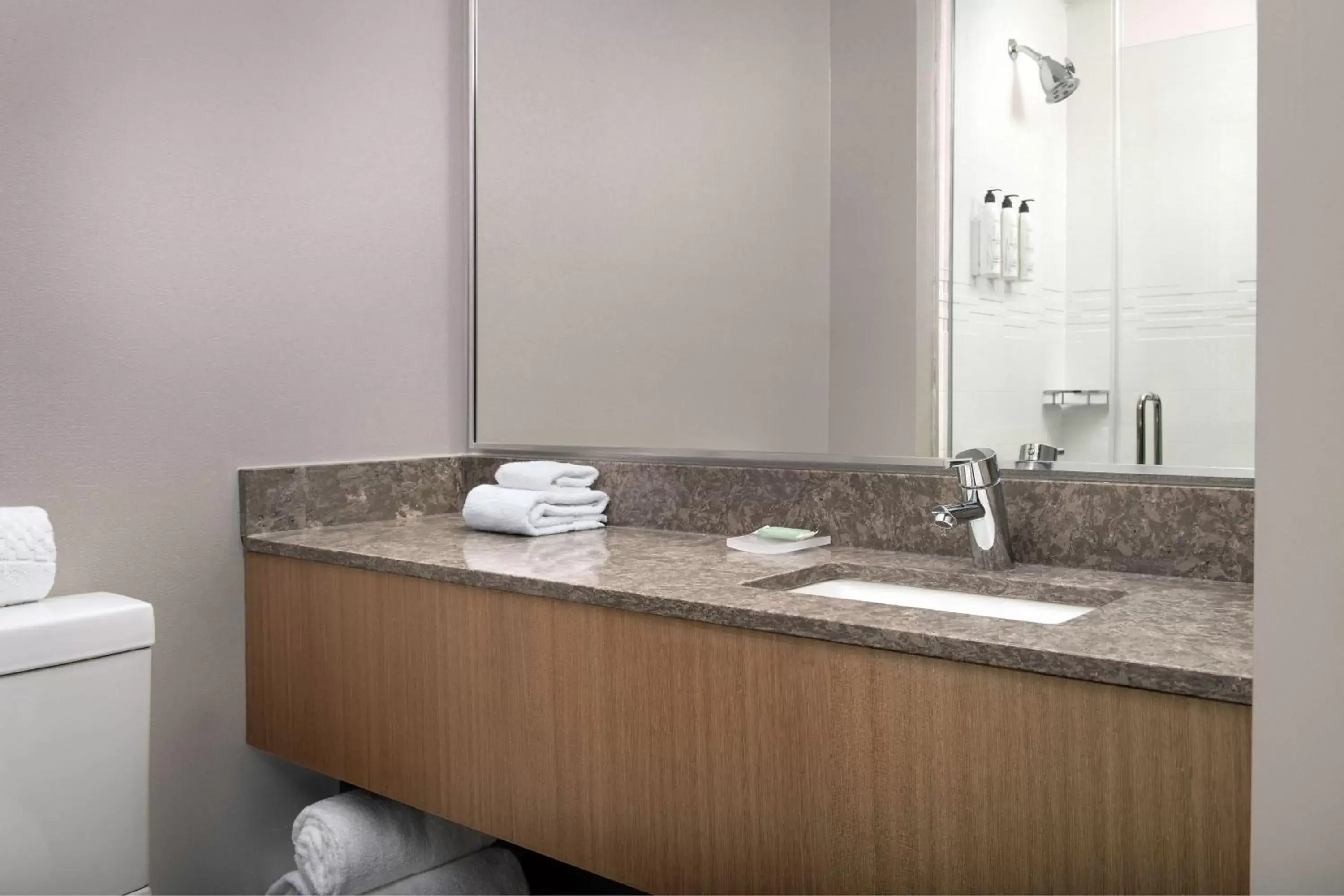 Bathroom in SpringHill Suites by Marriott New York Queens
