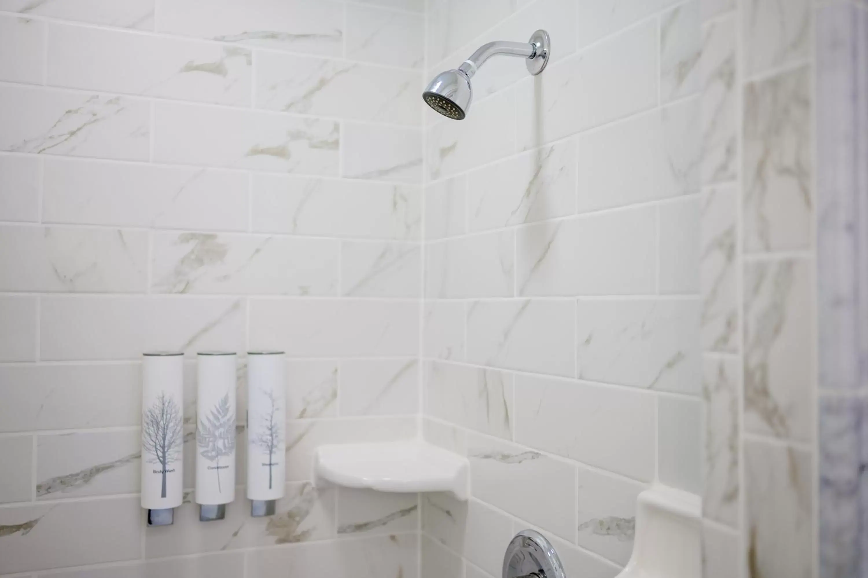 Shower, Bathroom in Marina Motel