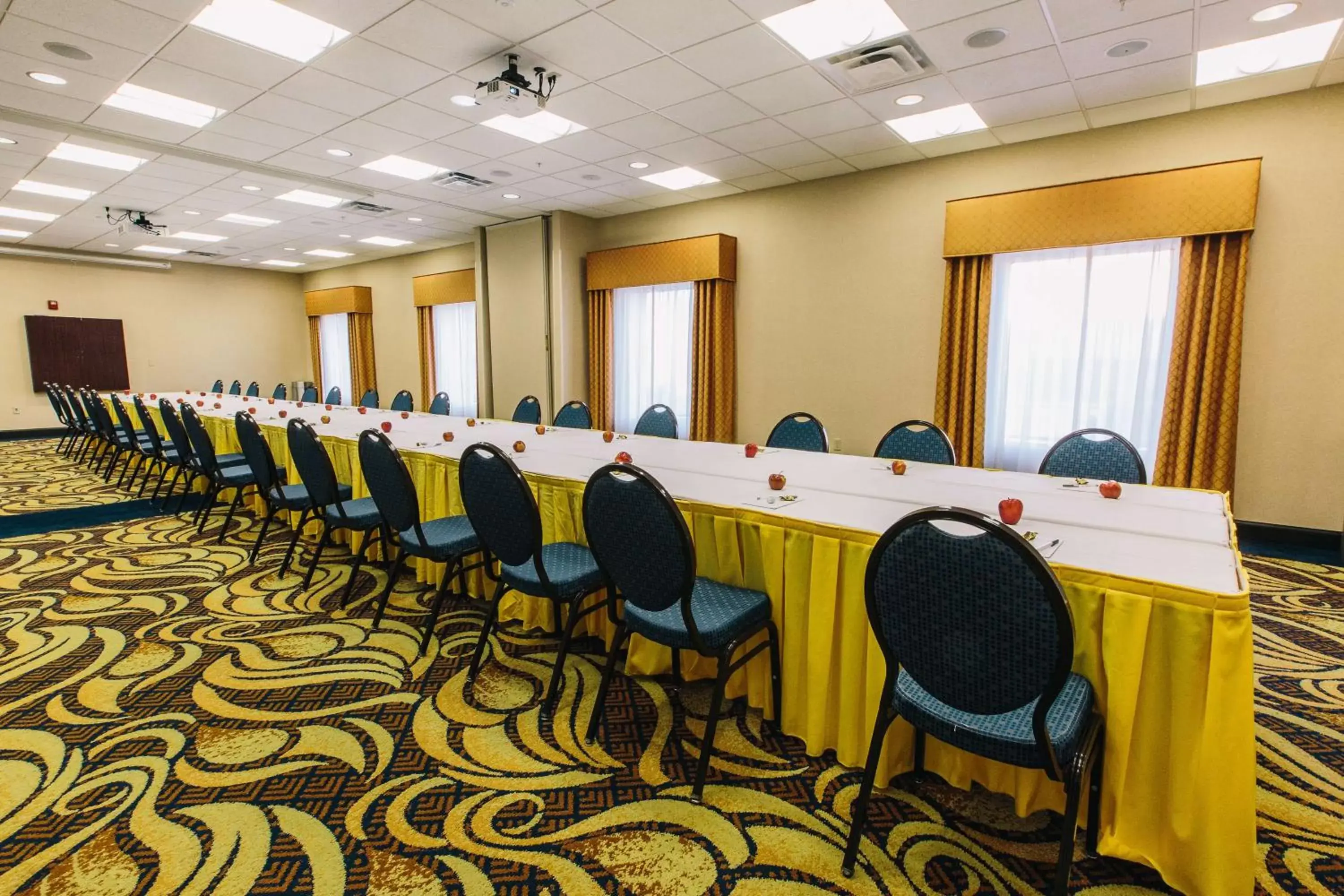 Meeting/conference room in Hampton Inn & Suites Effingham