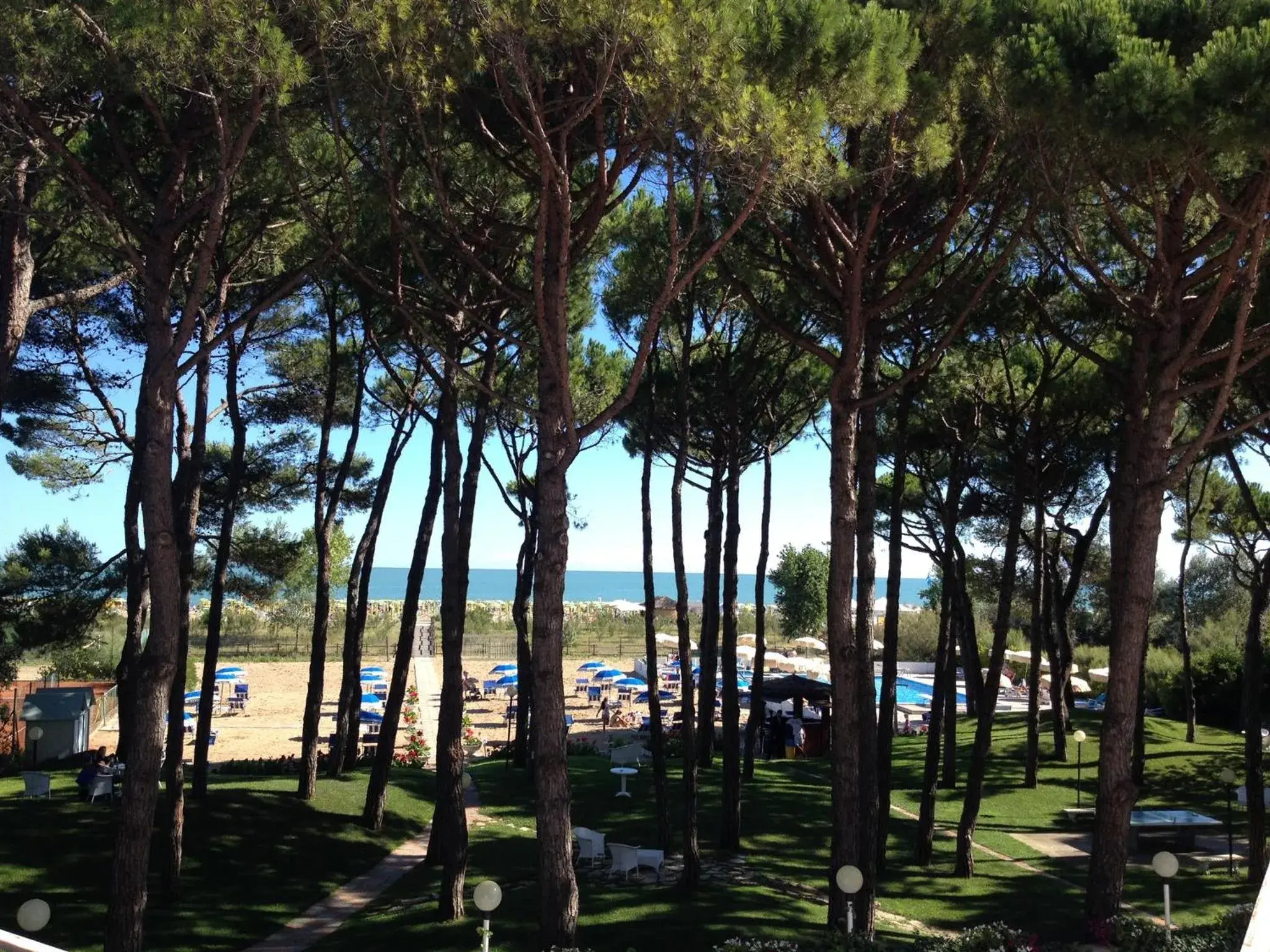 Day, Garden in Hotel Beau Rivage Pineta