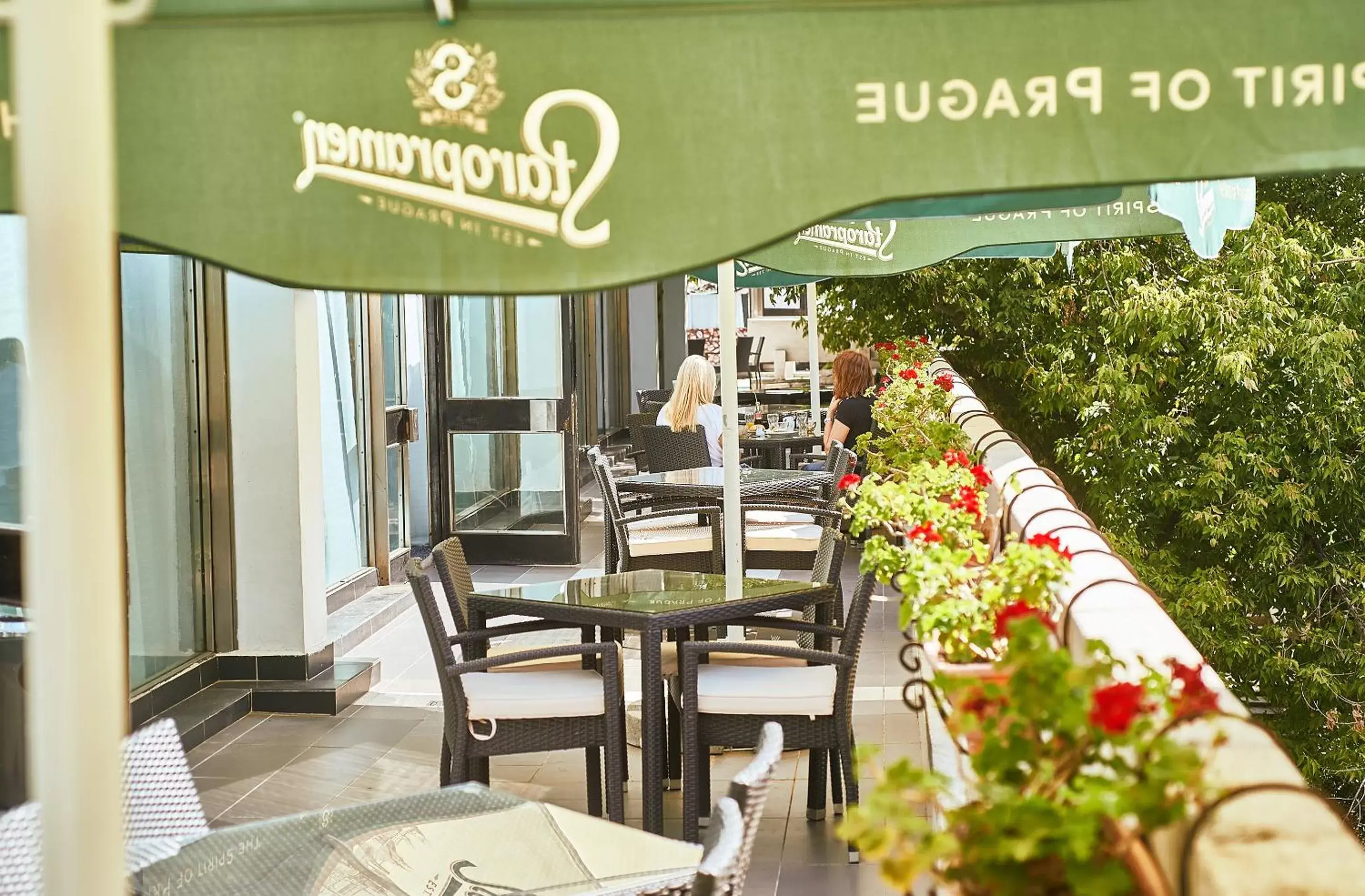 Balcony/Terrace, Restaurant/Places to Eat in Continental Drobeta Turnu Severin
