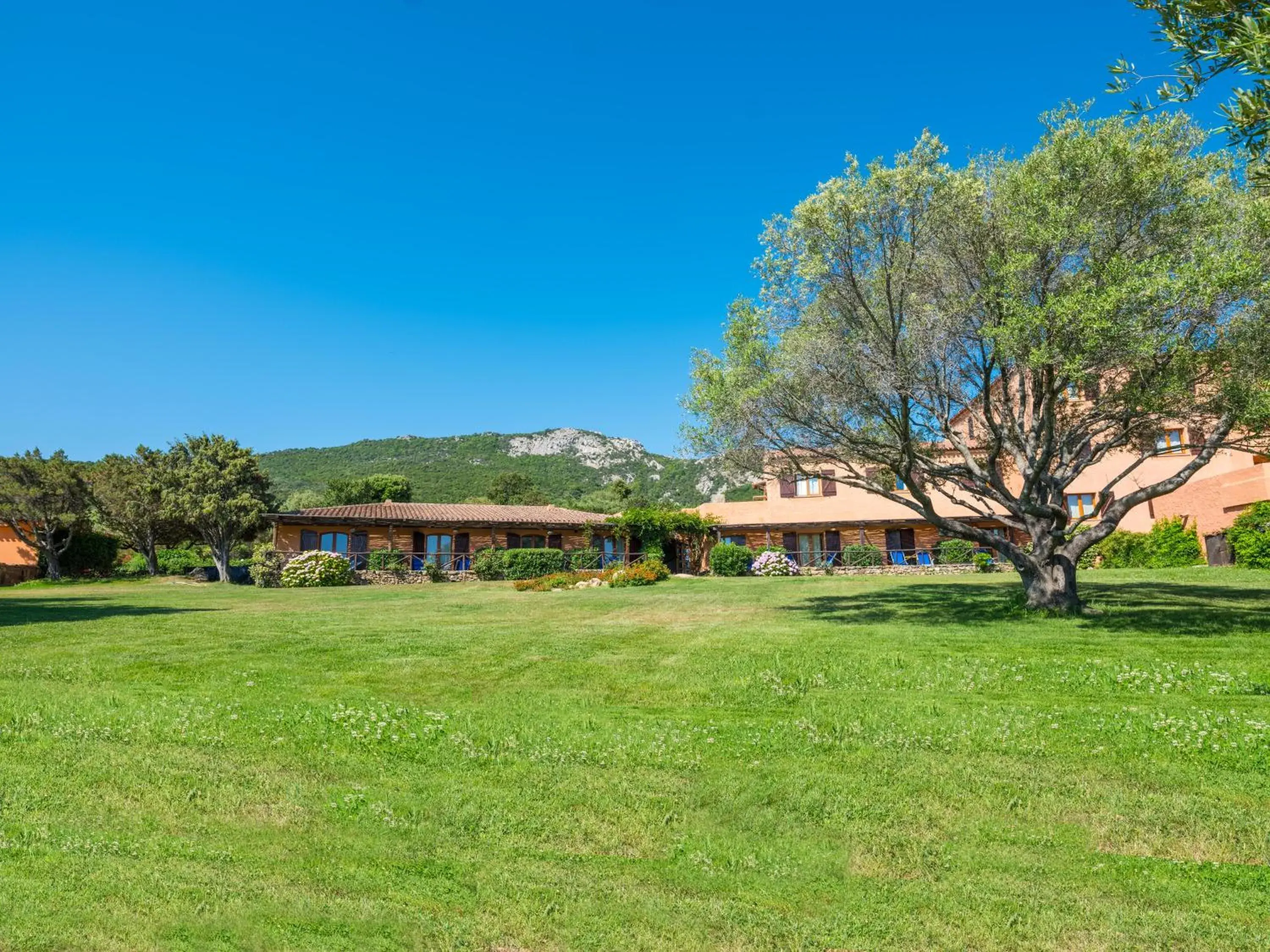 Garden in Hotel Rocce Sarde