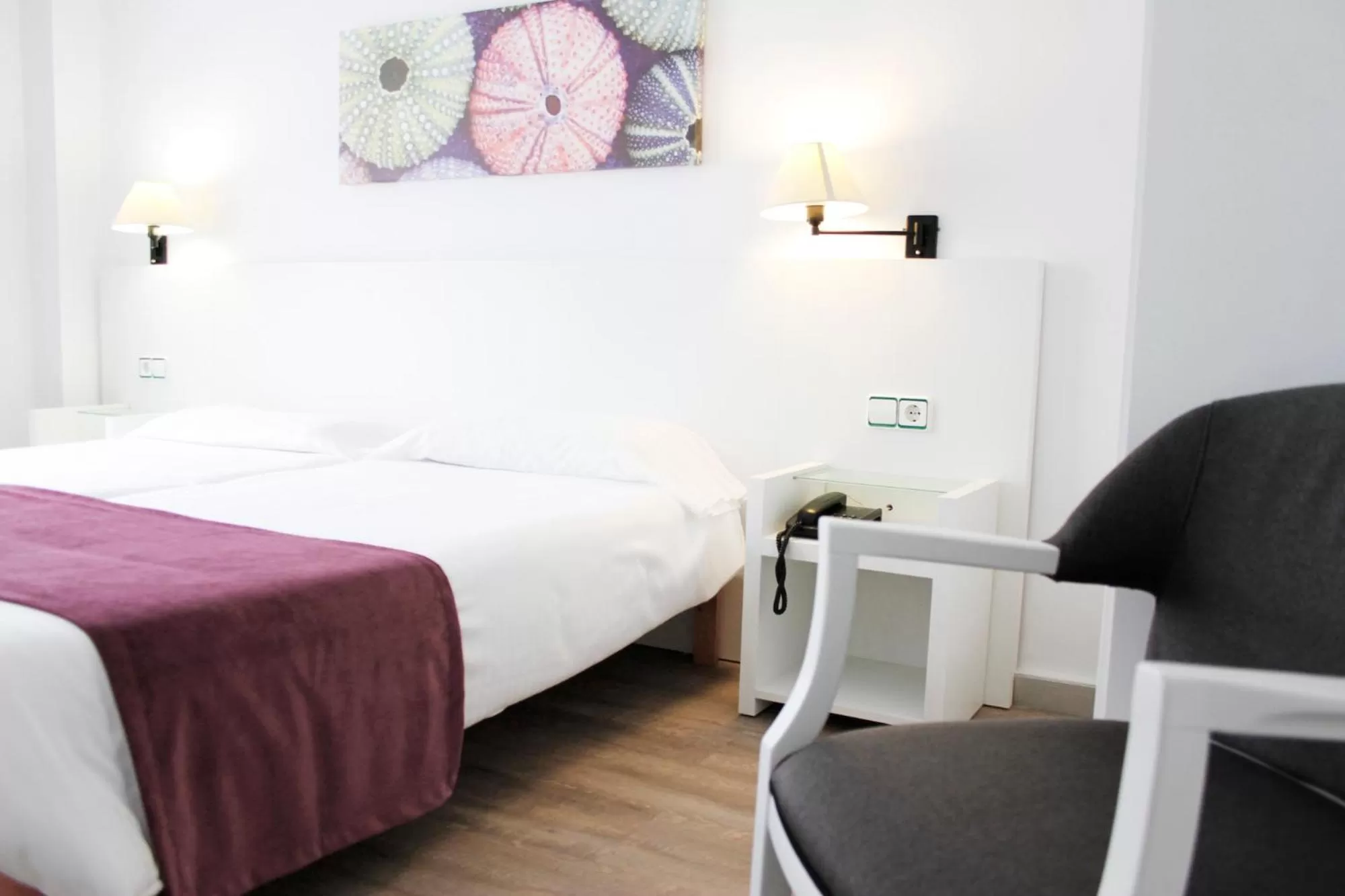 Photo of the whole room, Bed in Morlans Garden