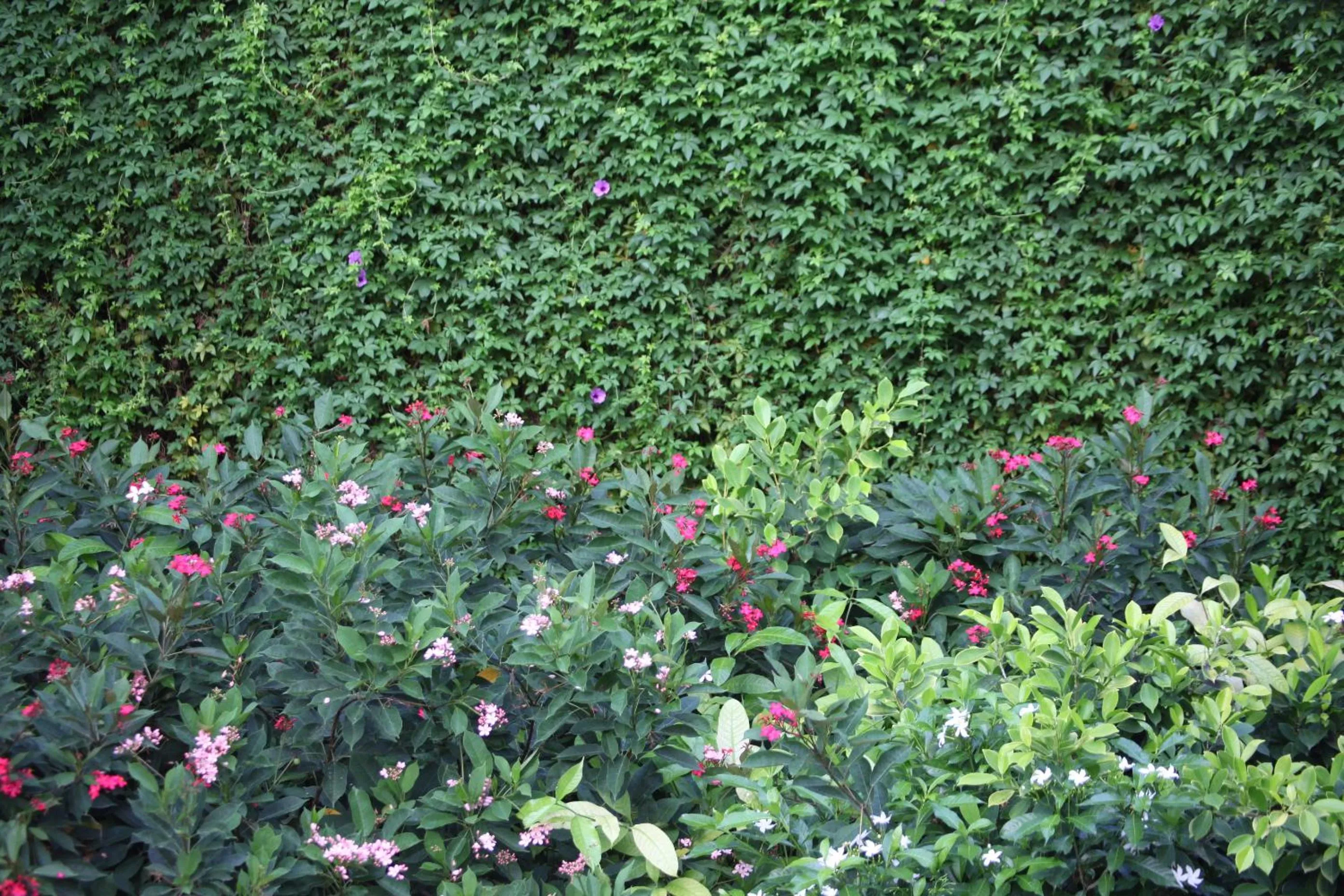 Natural landscape in Ubud Wana Resort