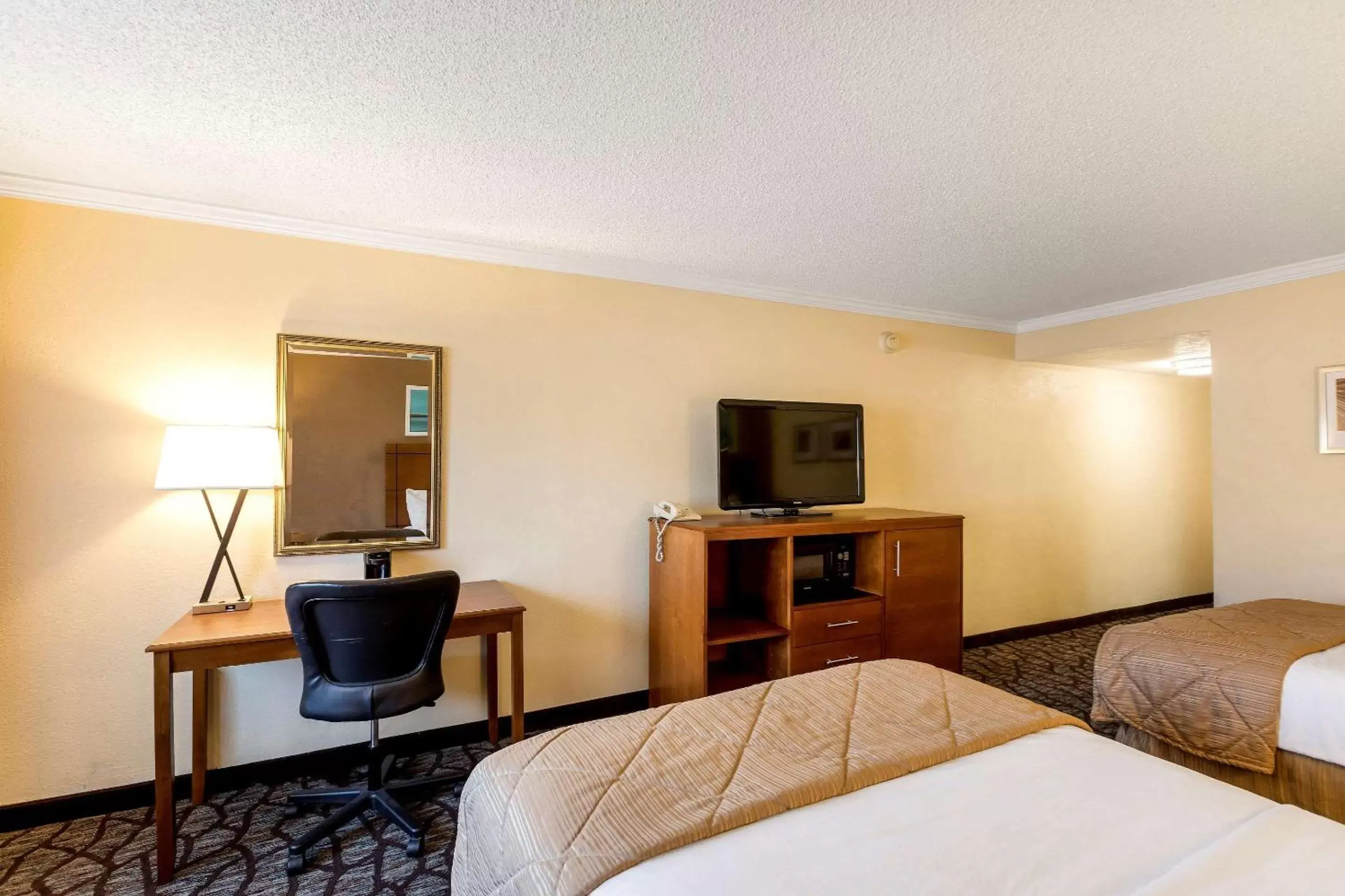 Photo of the whole room, TV/Entertainment Center in Clarion Hotel Detroit Metro Airport