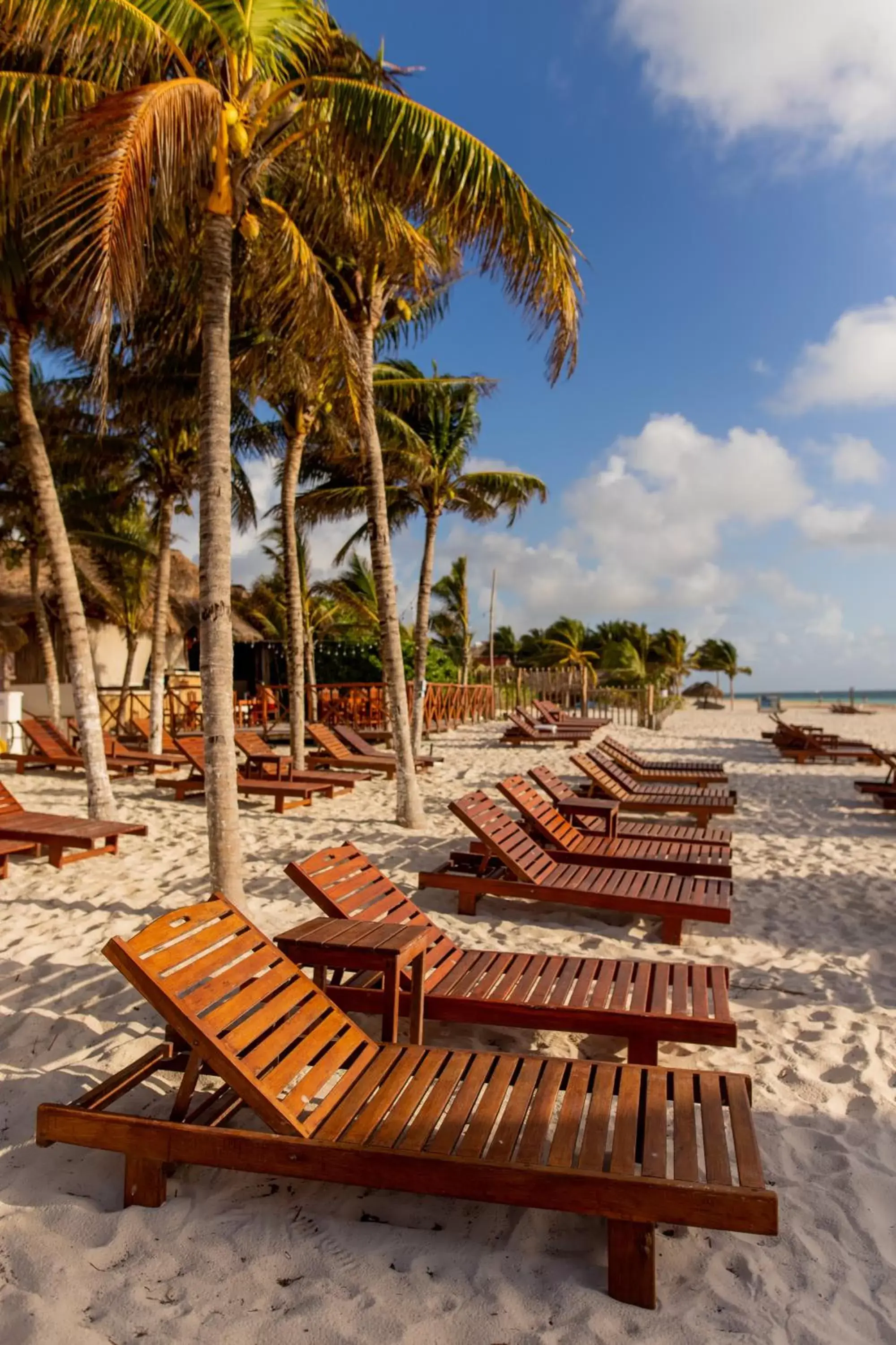 Beach in HOTEL & BEACH CLUB OJO DE AGUA