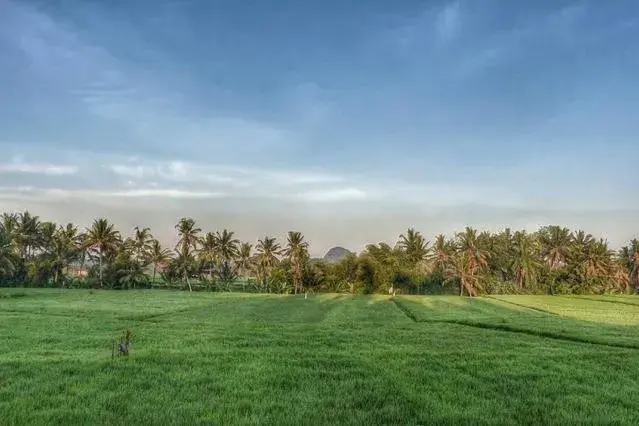 View (from property/room) in Bali Harmony Villa
