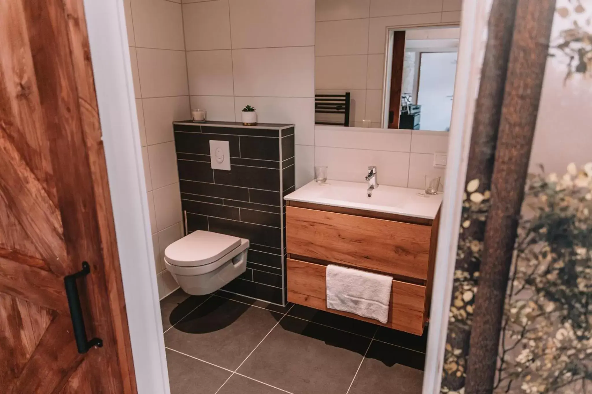 Toilet, Bathroom in Harlingen Staete Wellness B&B Oase van rust en luxe