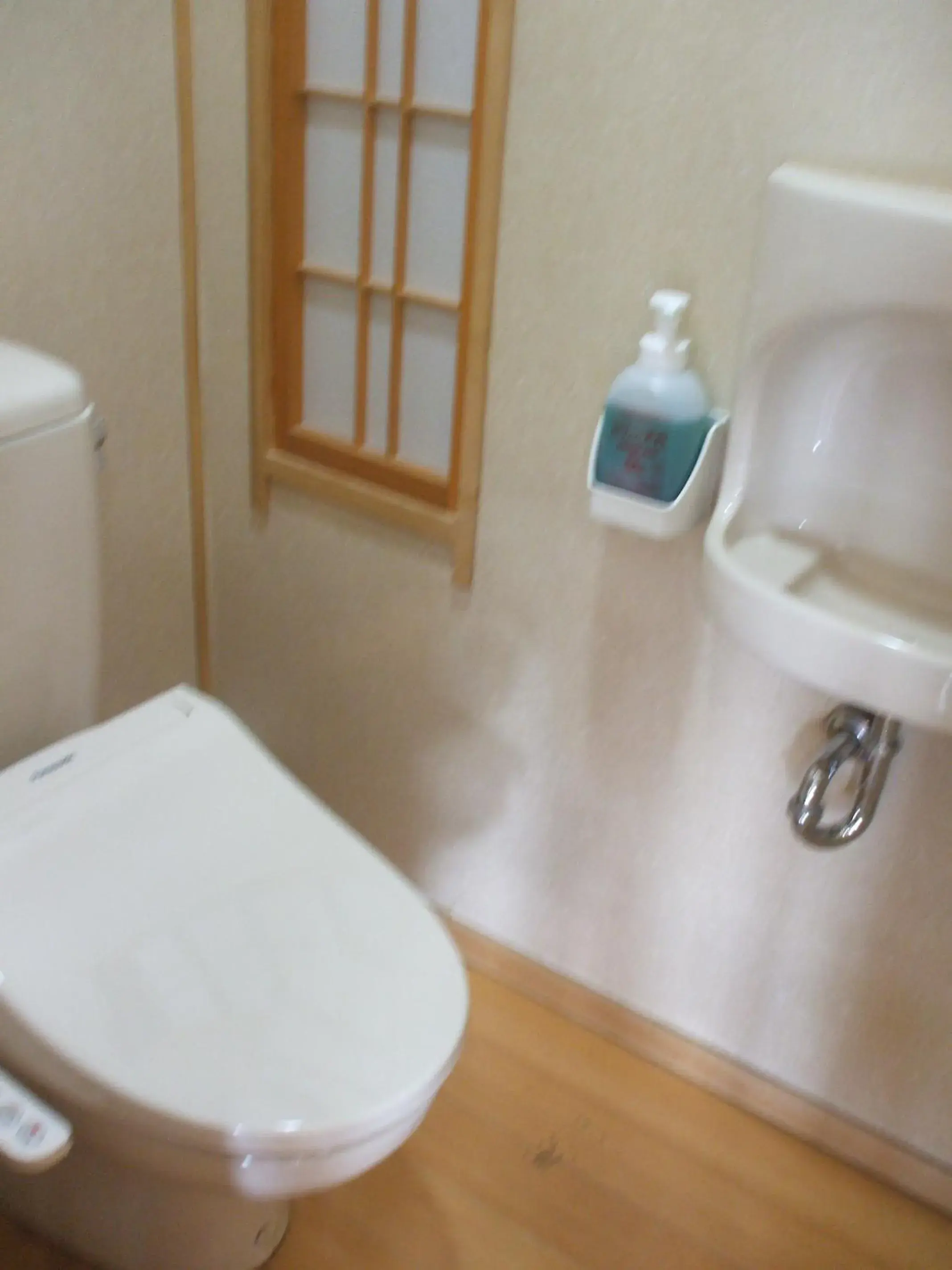 Bathroom in Fujiya Ryokan