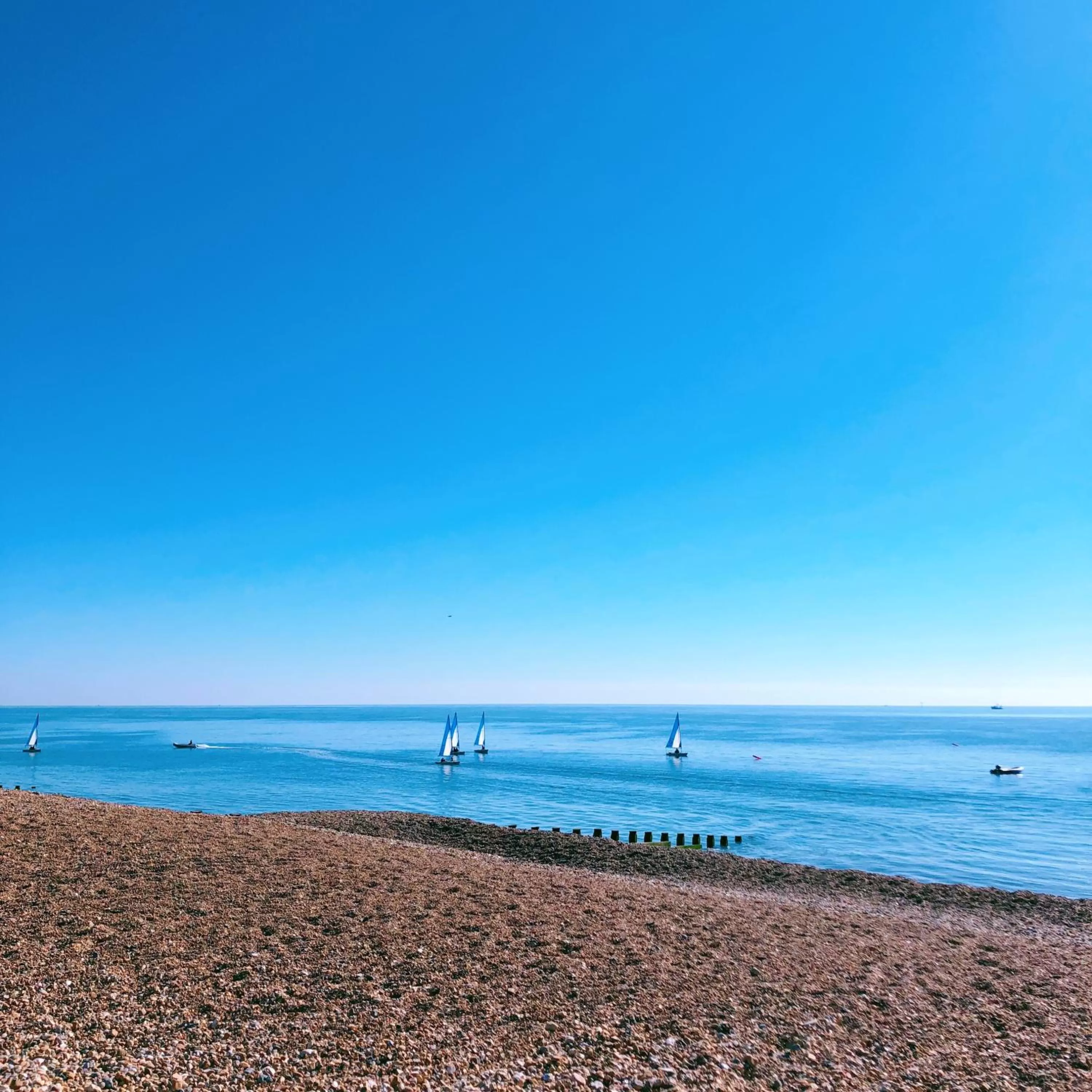 Natural landscape in The Chatsworth Hotel