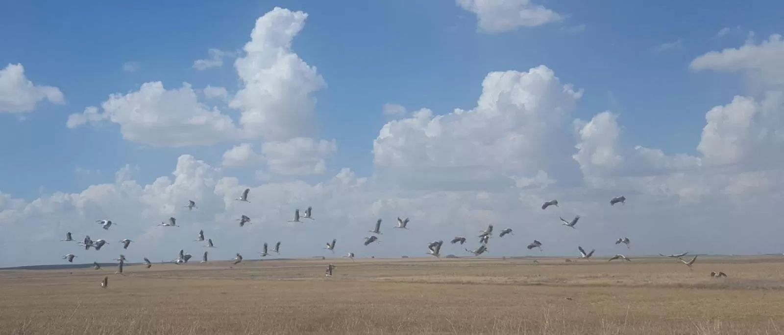 Natural landscape, Beach in Hostal Athlanta