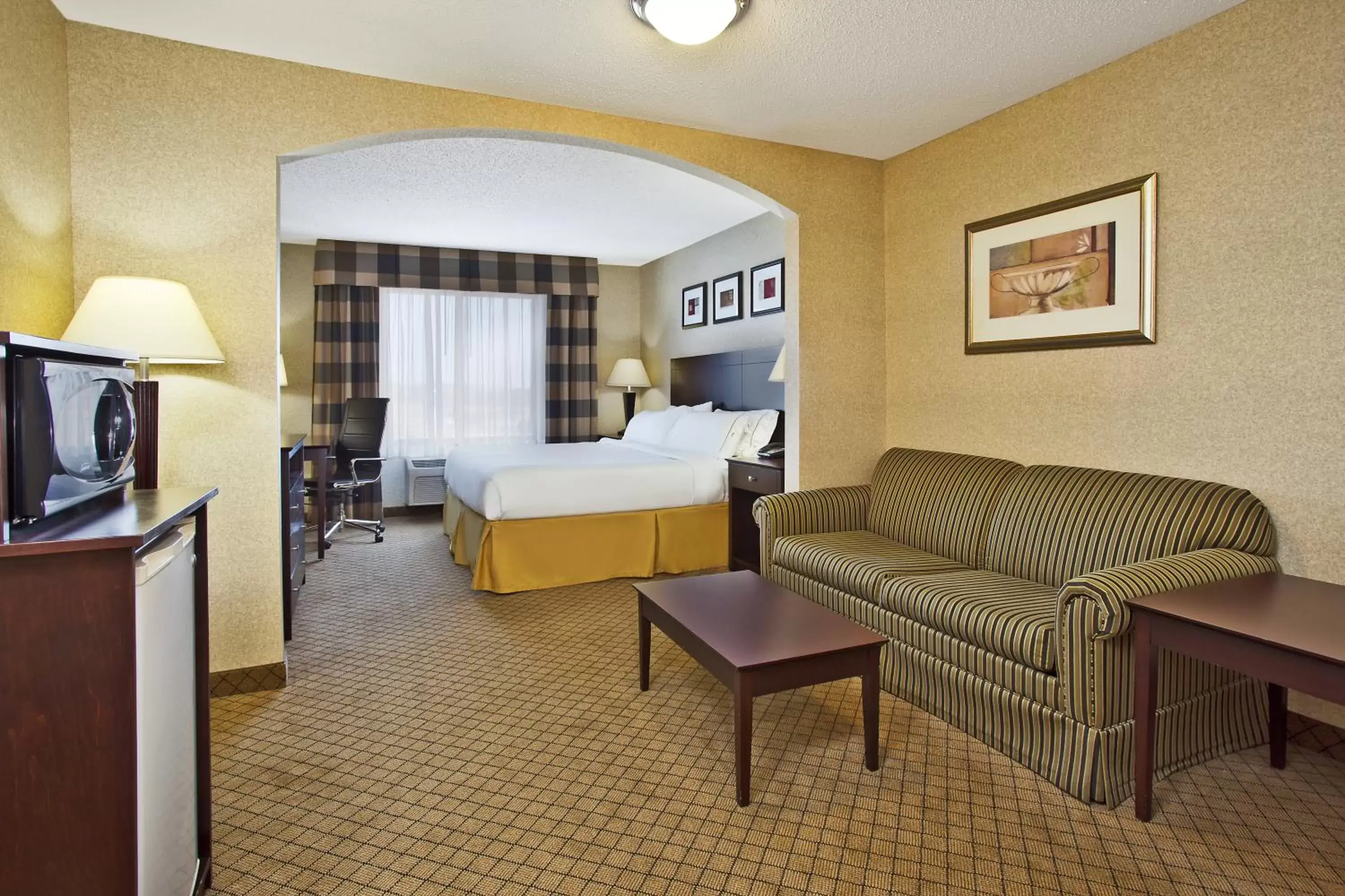 Photo of the whole room, Seating Area in Holiday Inn Express Hotel & Suites Anderson, an IHG Hotel