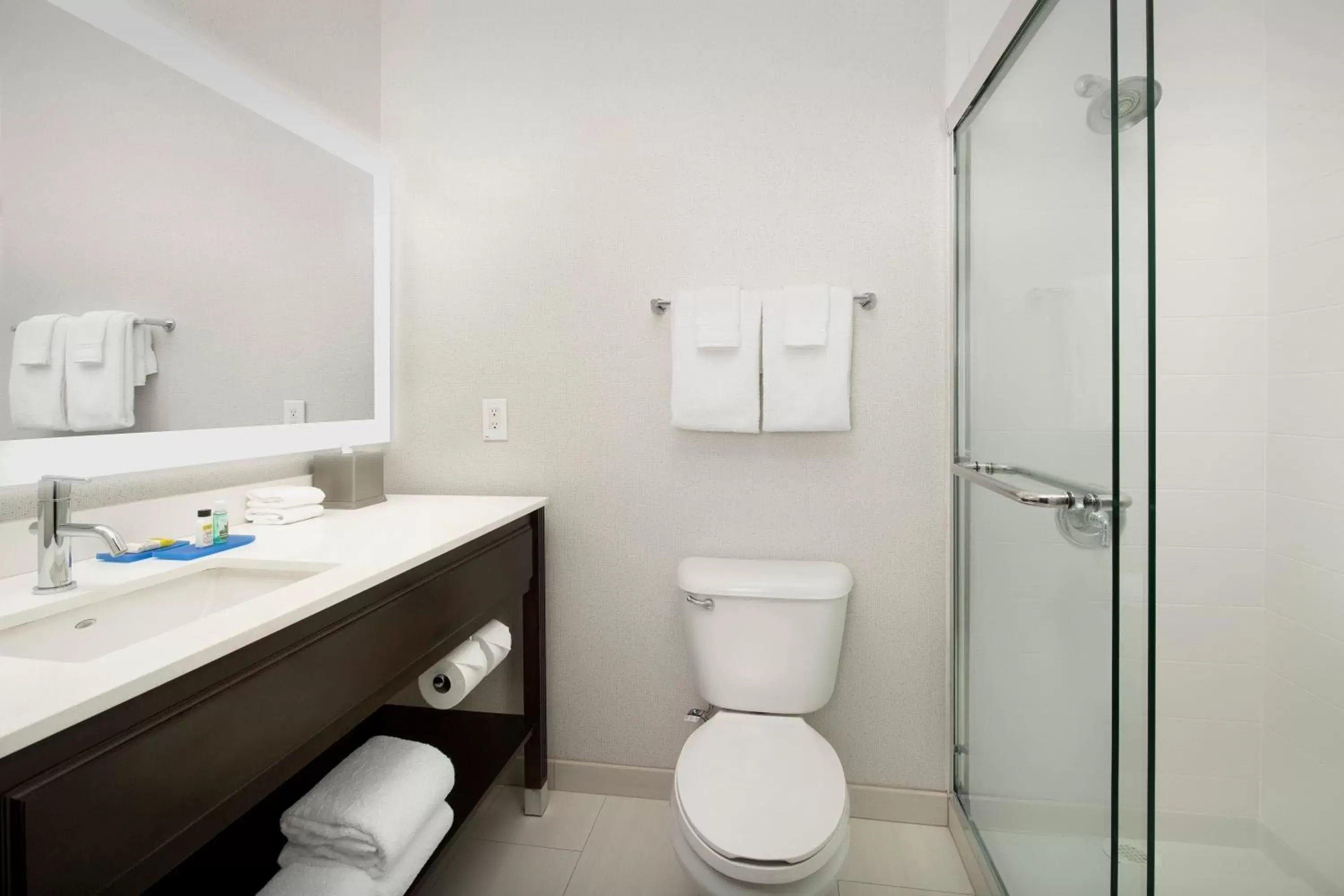 Photo of the whole room, Bathroom in Holiday Inn Express Puyallup, an IHG Hotel