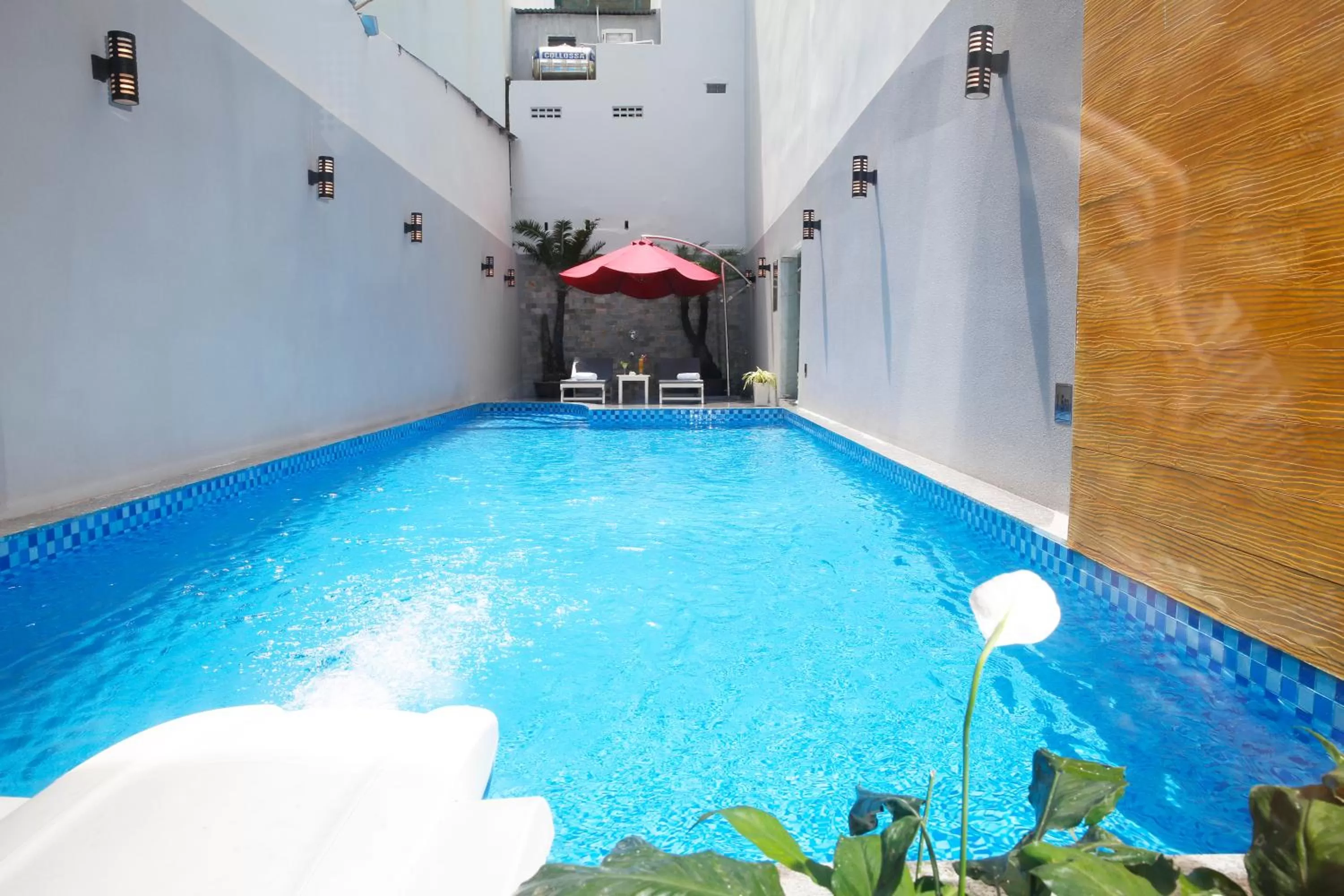 Swimming pool in Starlet Hotel