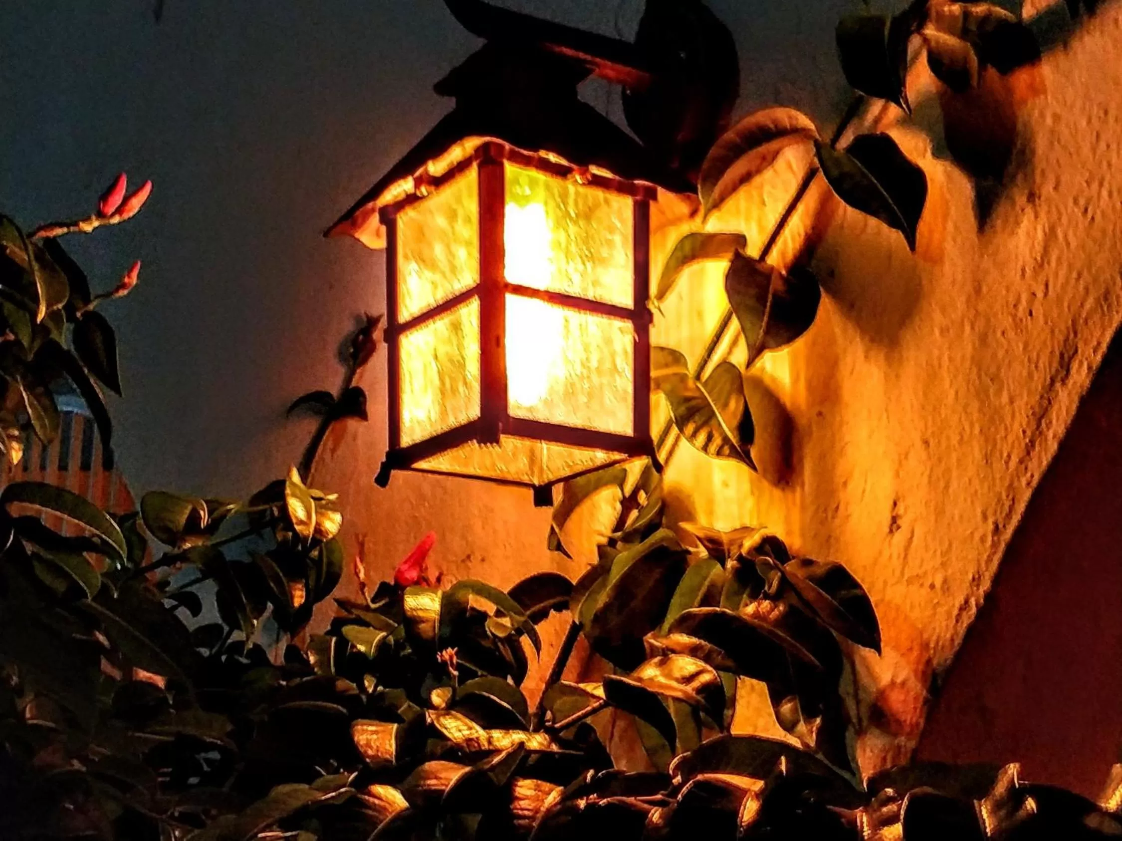 Casa Blanca Boutique & Organic