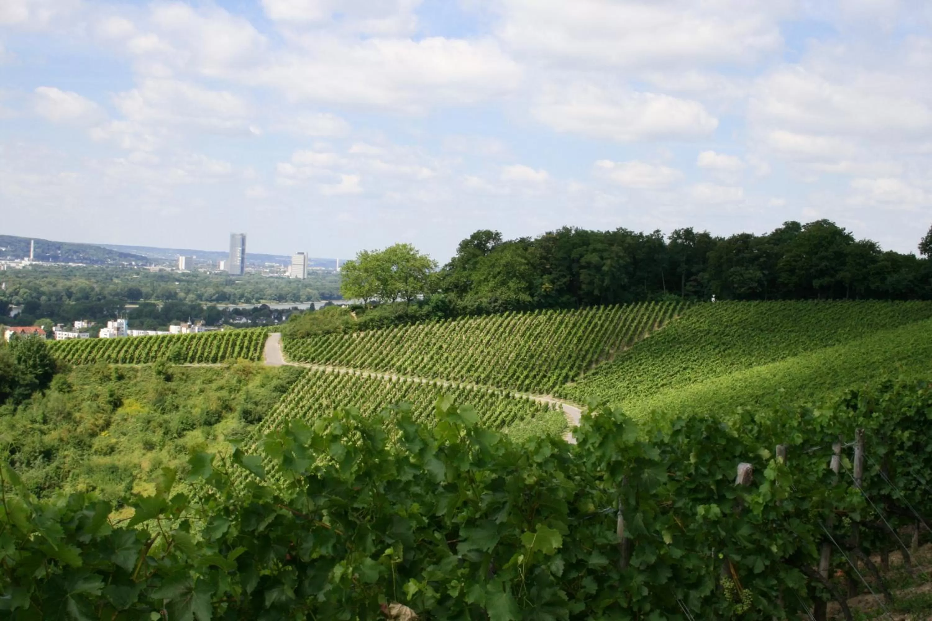 Natural landscape in JUFA Hotel Königswinter/Bonn