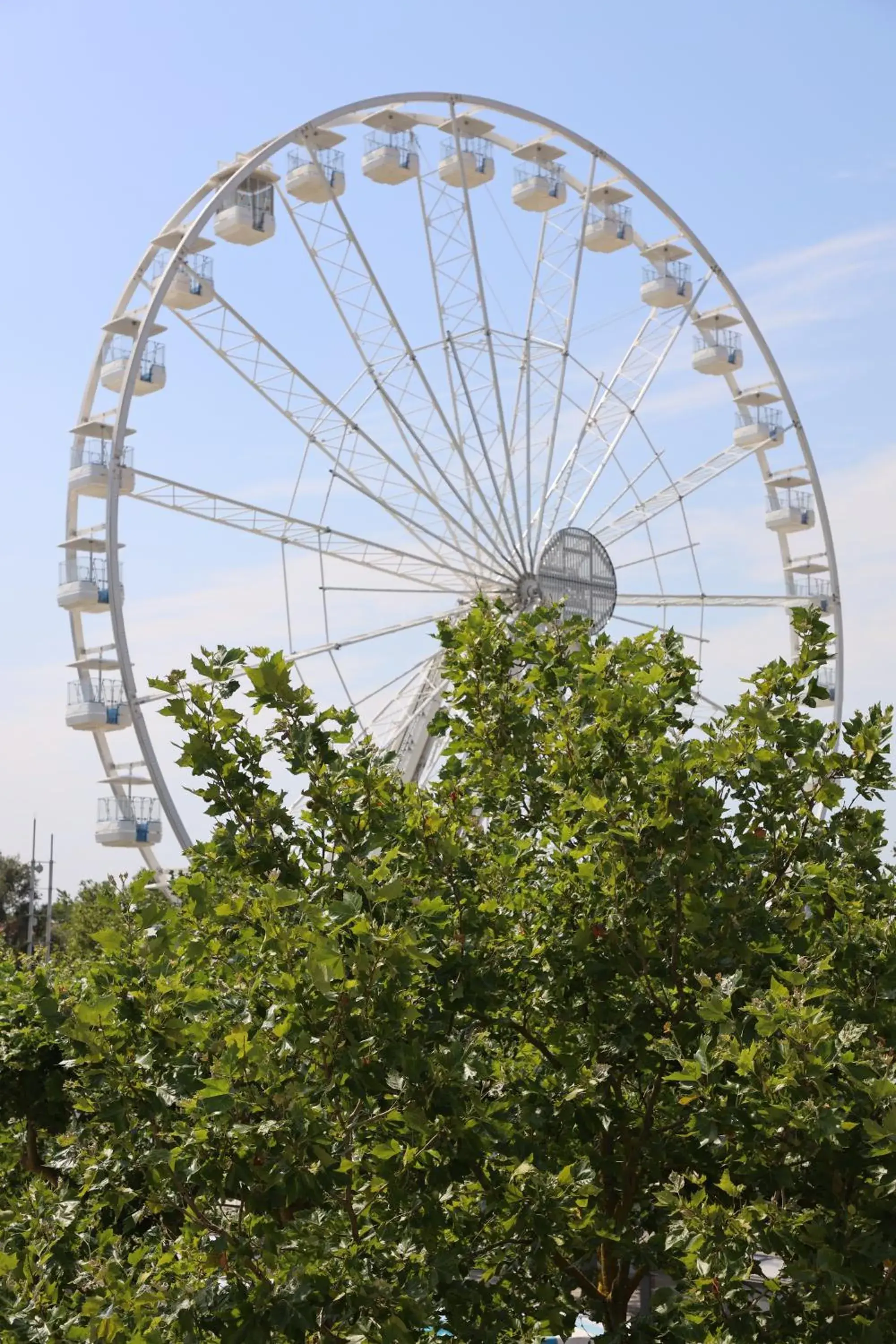 City view, Other Activities in Un Hotel sur le Port