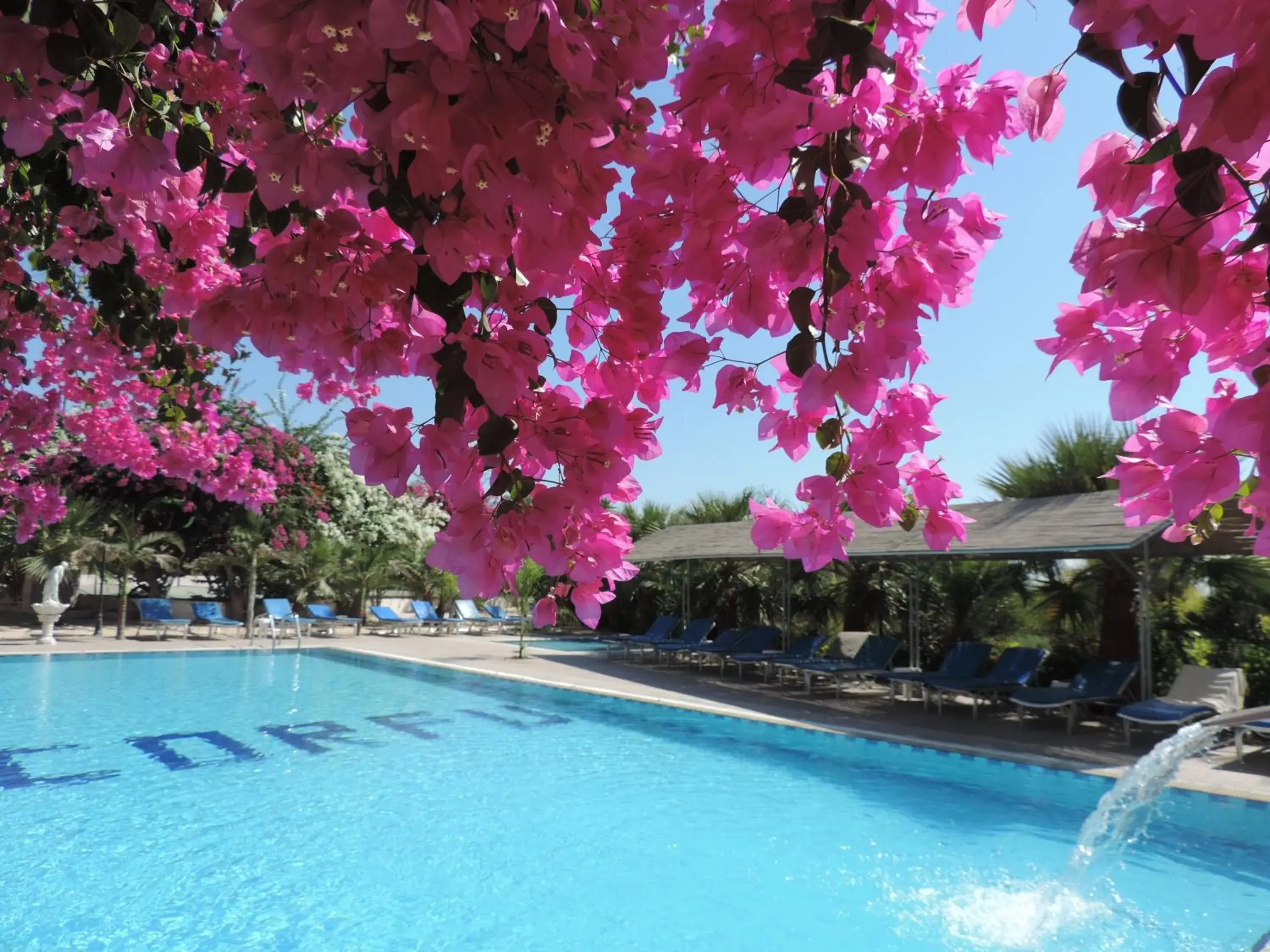 Day, Swimming Pool in Corfu Hotel