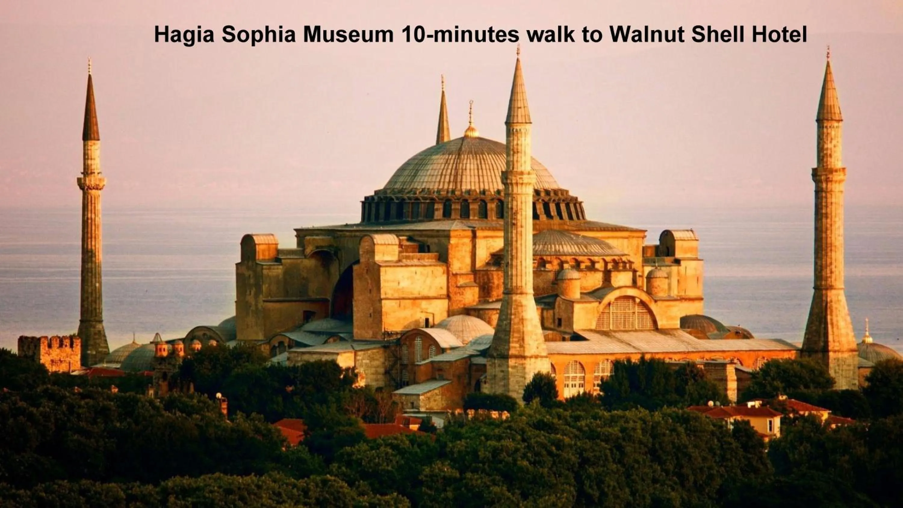 Nearby landmark in Walnut Shell Hotel