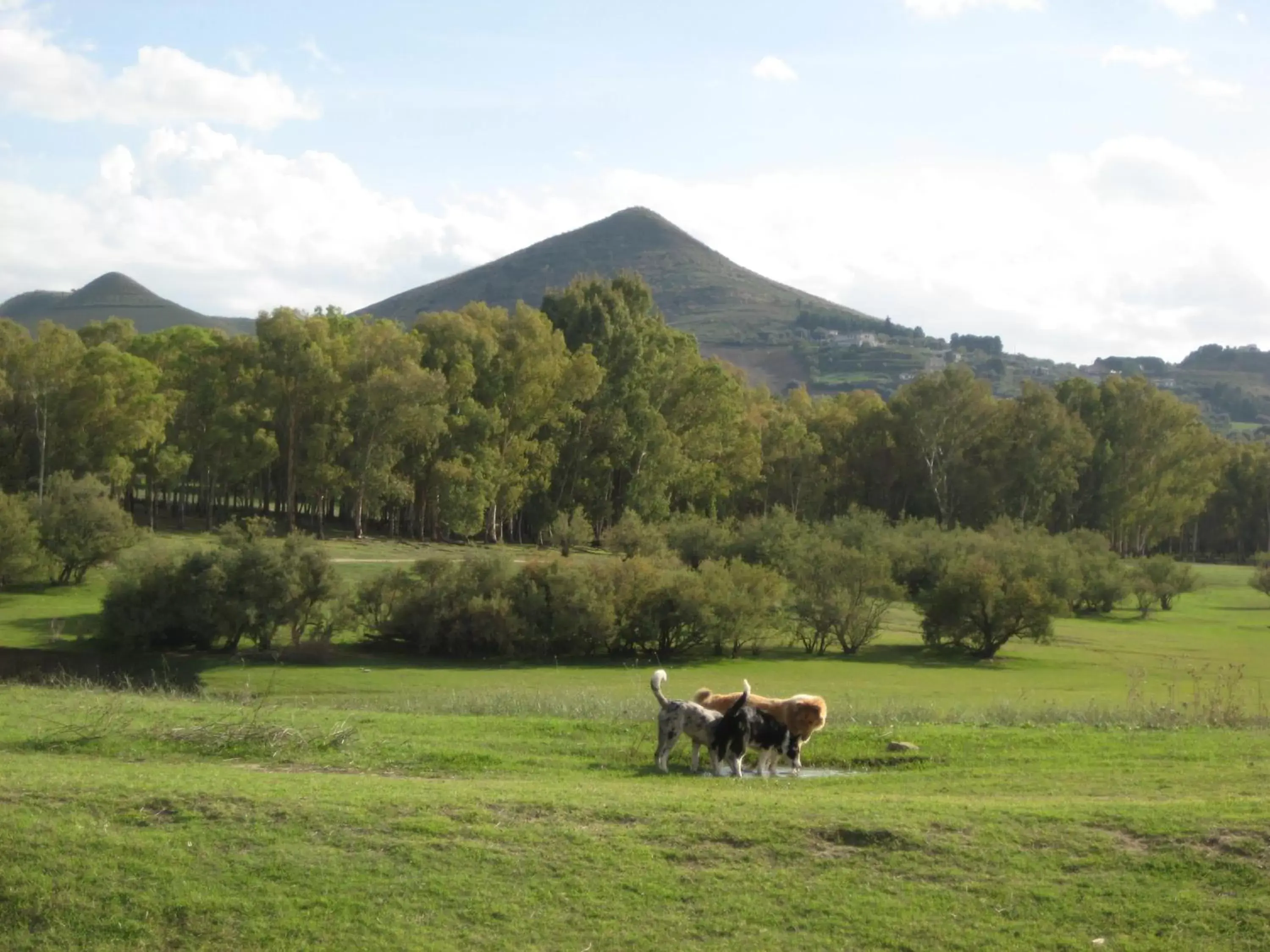 Natural landscape in Oasi del Lago