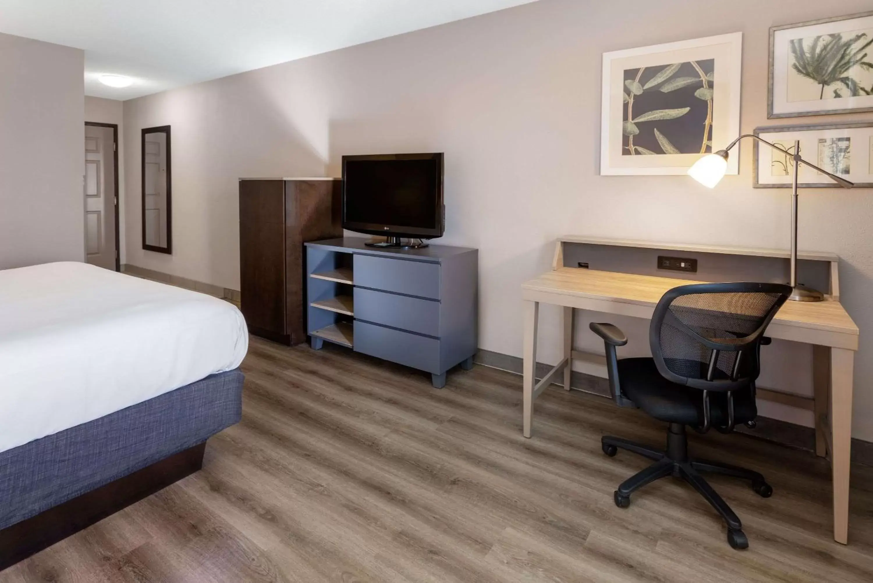 Bed, TV/Entertainment Center in Country Inn & Suites by Radisson, Salisbury, MD