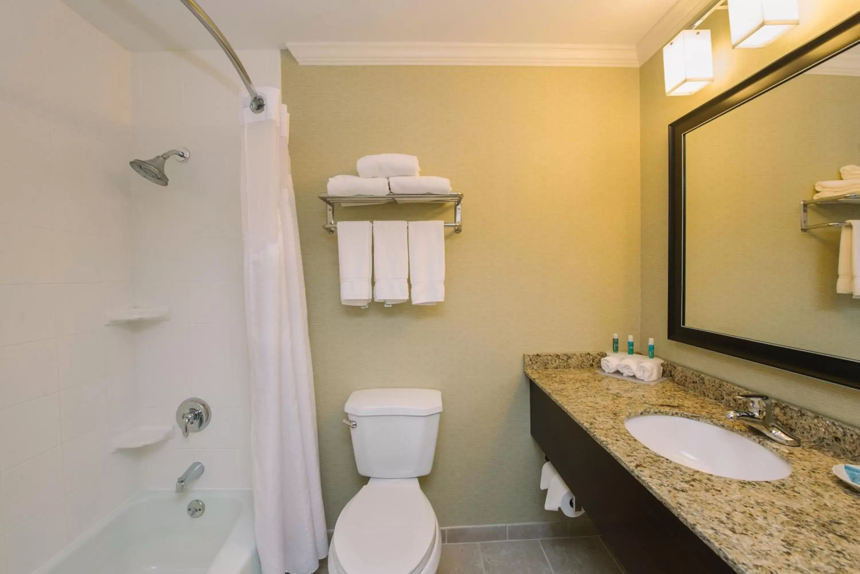 Bathroom in Holiday Inn Express and Suites Merrimack, an IHG Hotel