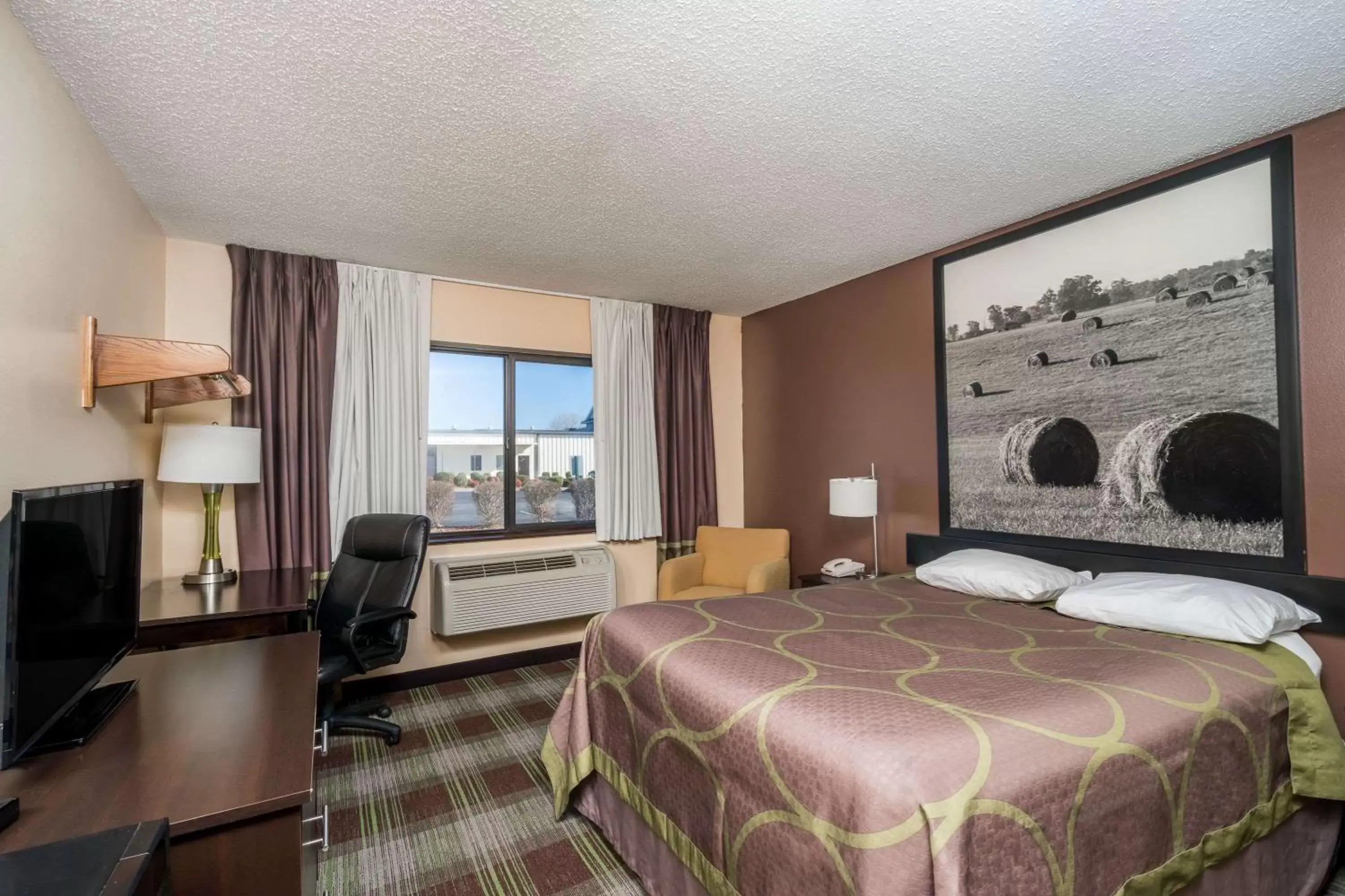 Living room, Bed in Super 8 by Wyndham Campbellsville KY Living room, Bed in Super 8 by Wyndham Campbellsville KY