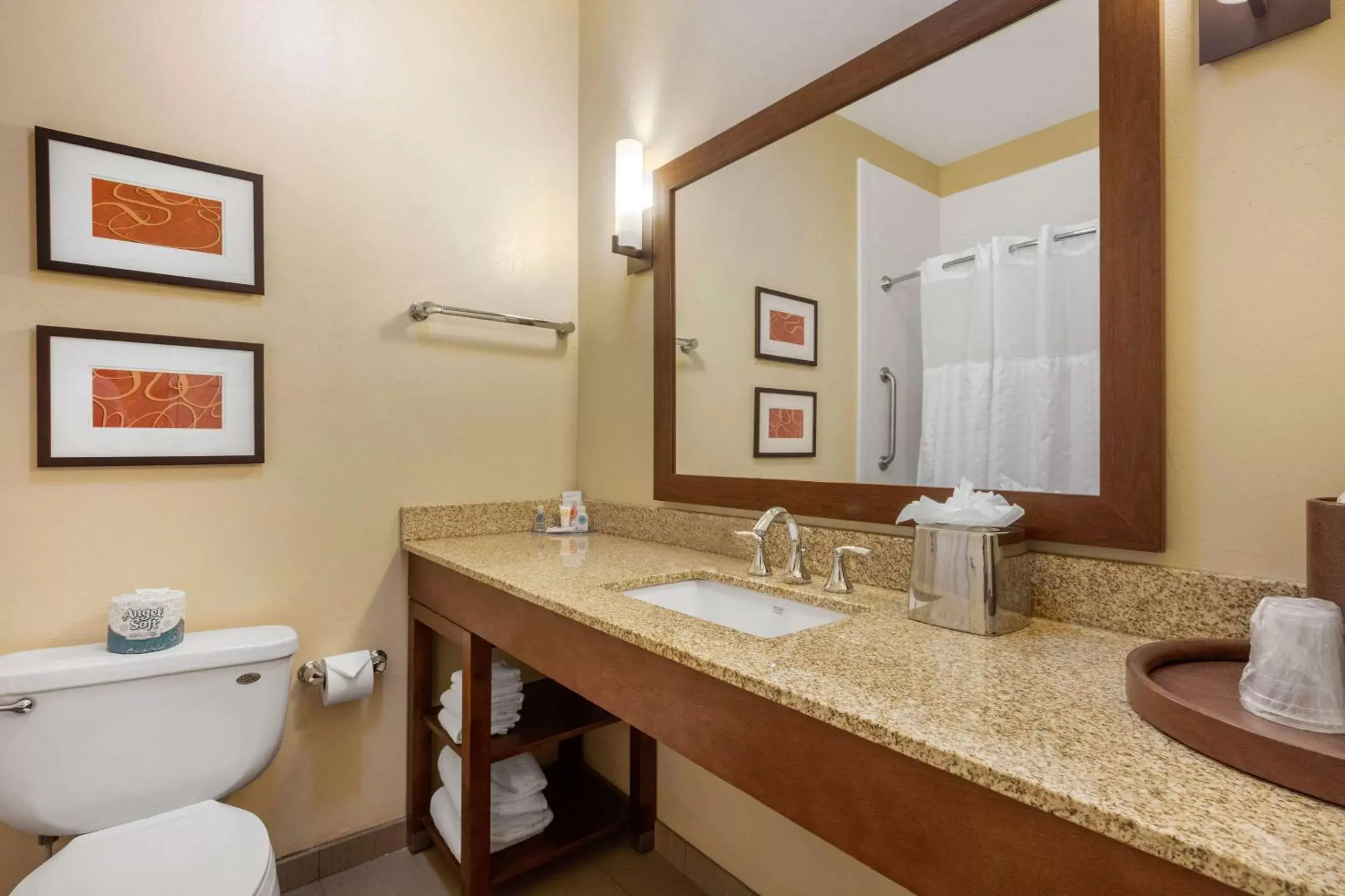 Photo of the whole room, Bathroom in Comfort Inn Memphis Downtown