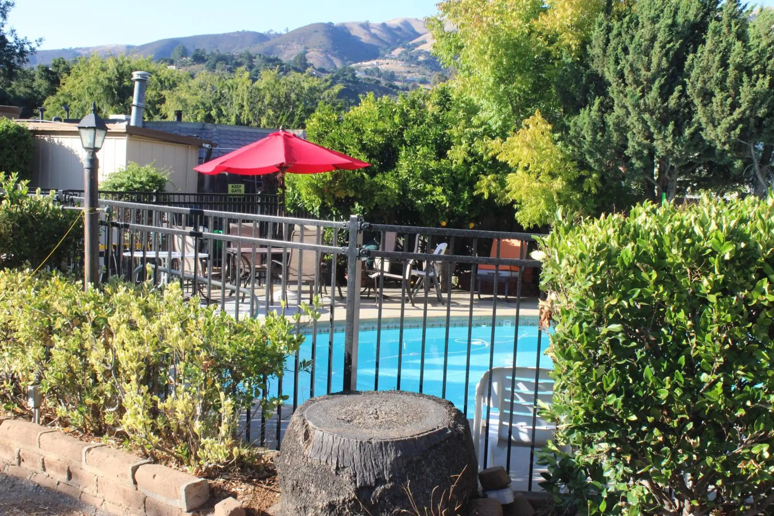 Swimming pool, Pool View in Little European Lodge