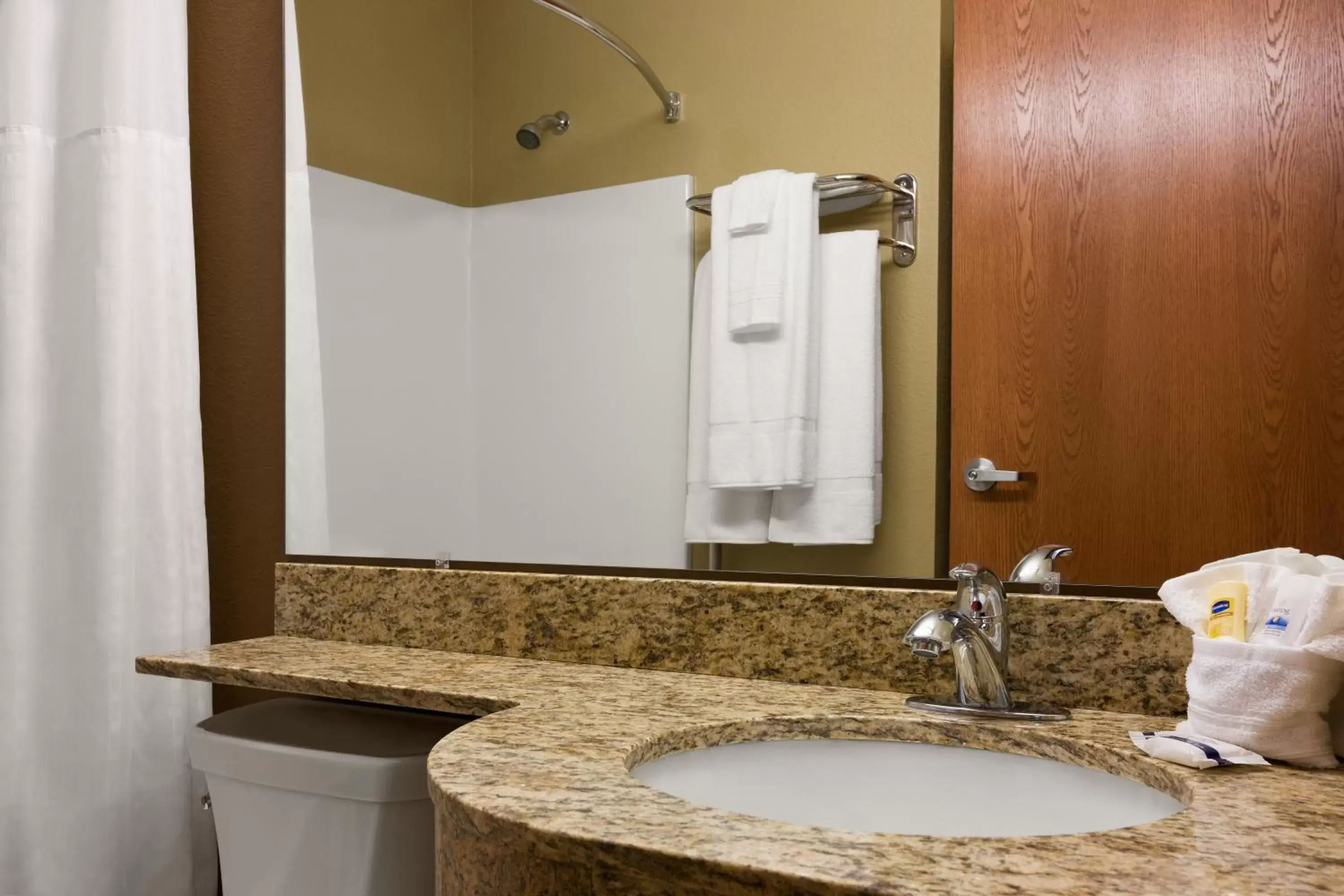 Bathroom in Microtel Inn & Suites Pleasanton