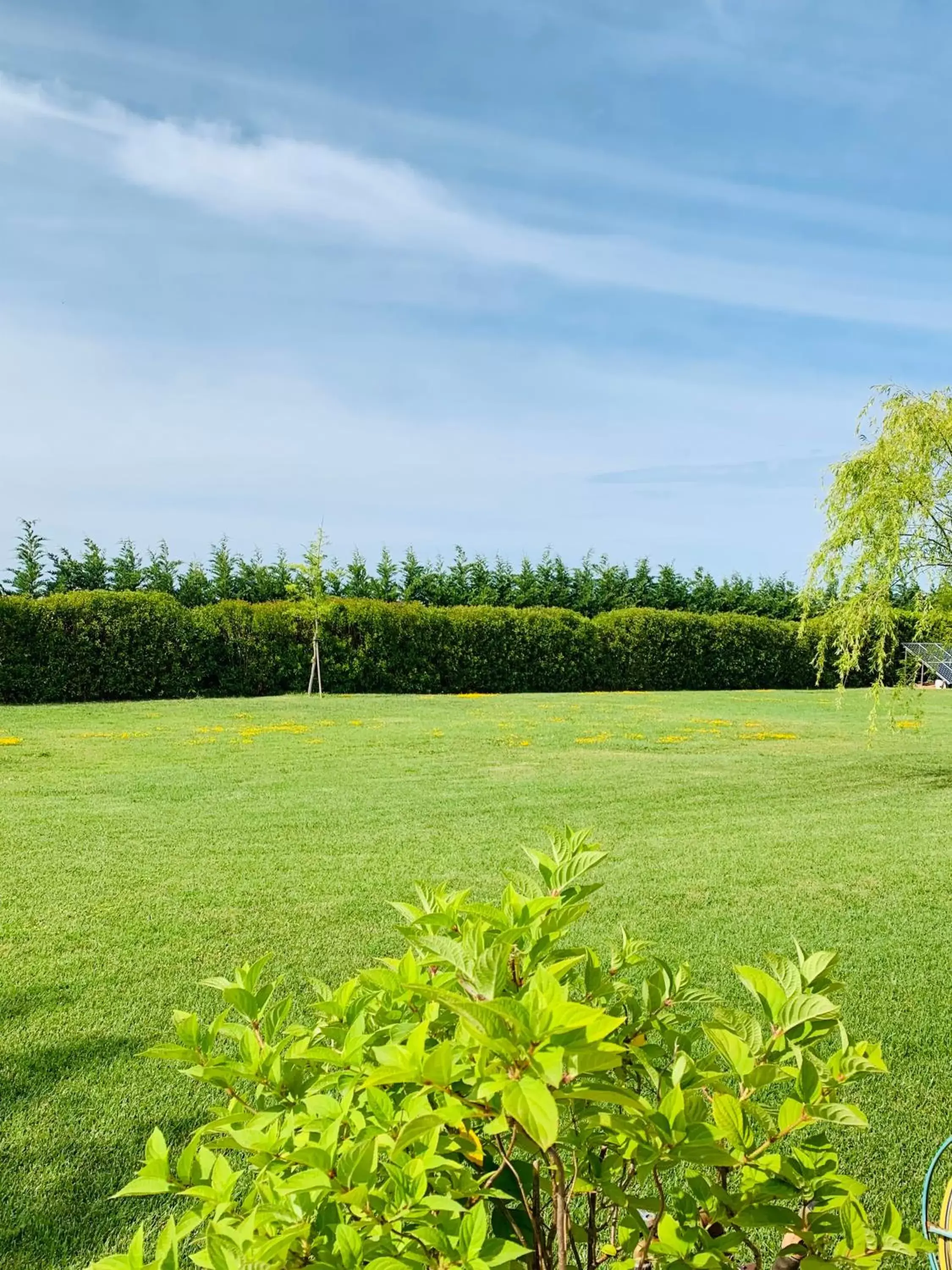 Garden in B&B Beauty House