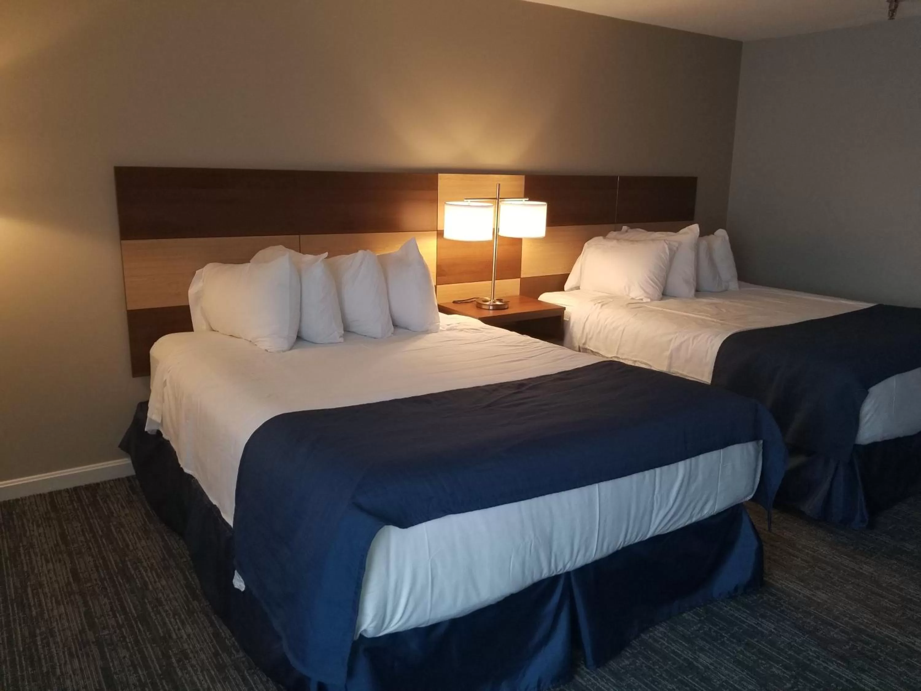 Bedroom, Bed in Hampton Village Inn