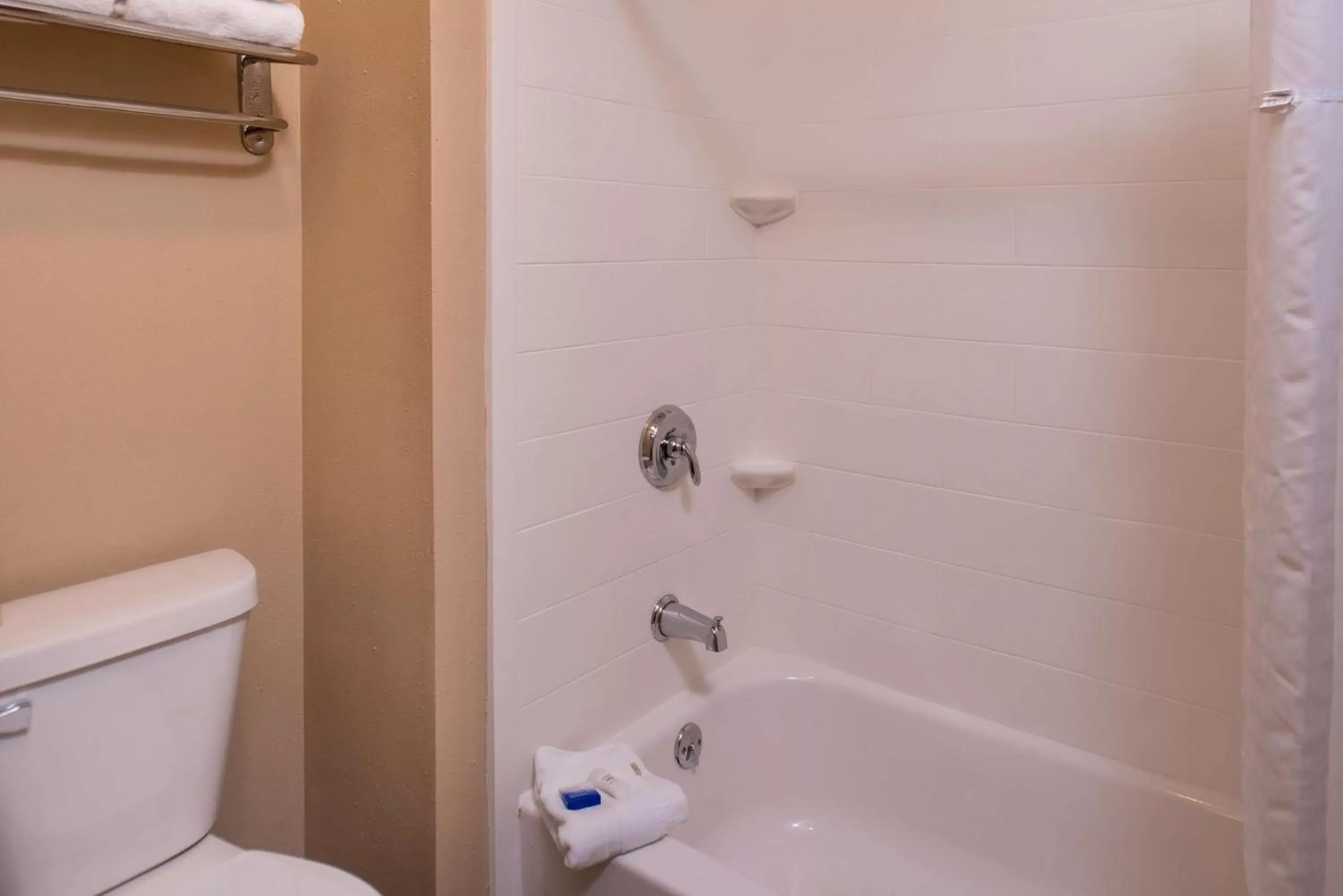 Bathroom in Best Western Ambassador Inn & Suites