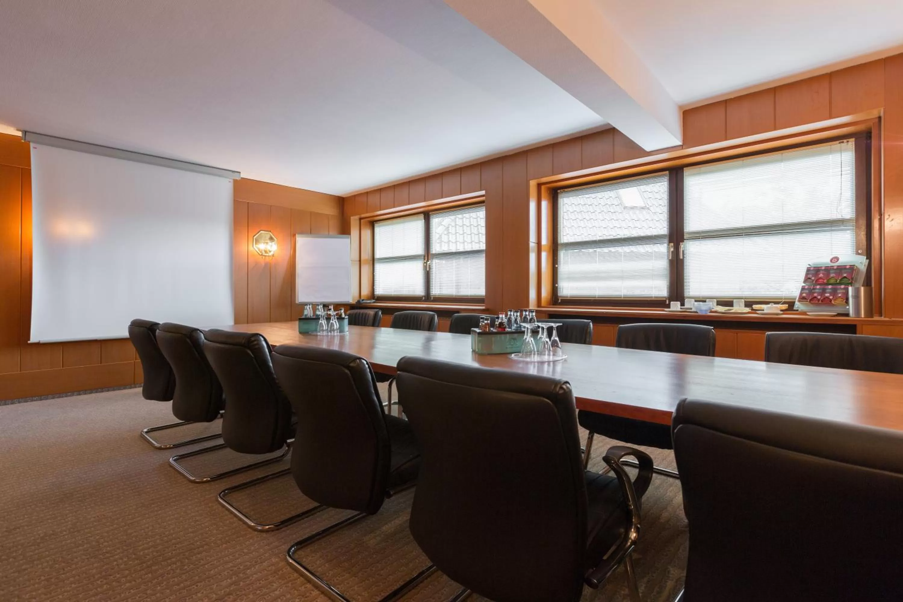 Business facilities in Hotel Engel