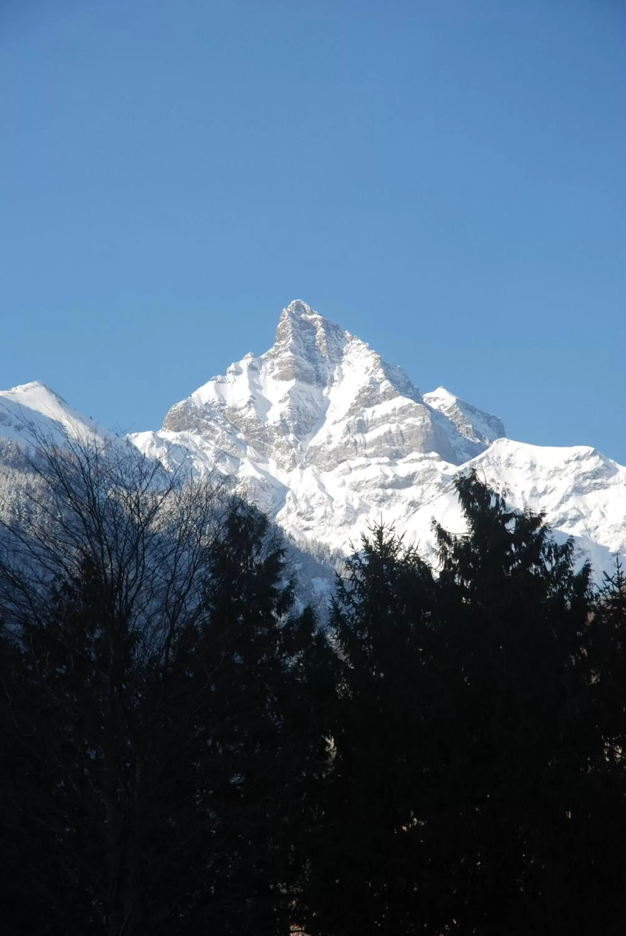 Winter in La Dent-du-Midi Hôtel & Restaurant