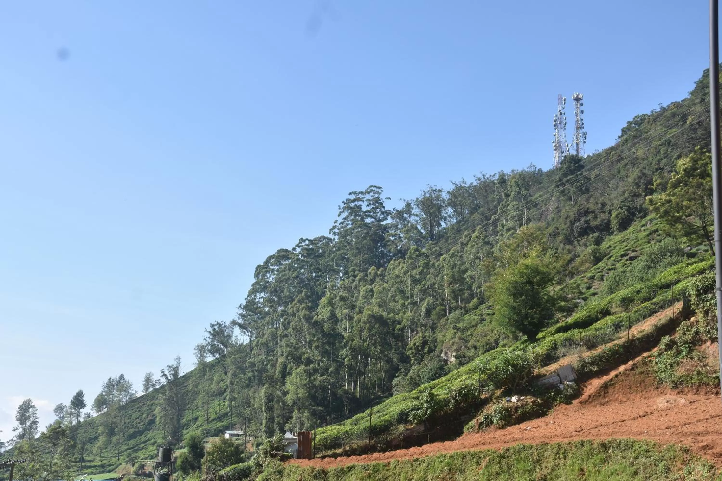 View (from property/room), Natural Landscape in Manuka Hillwood Hotel