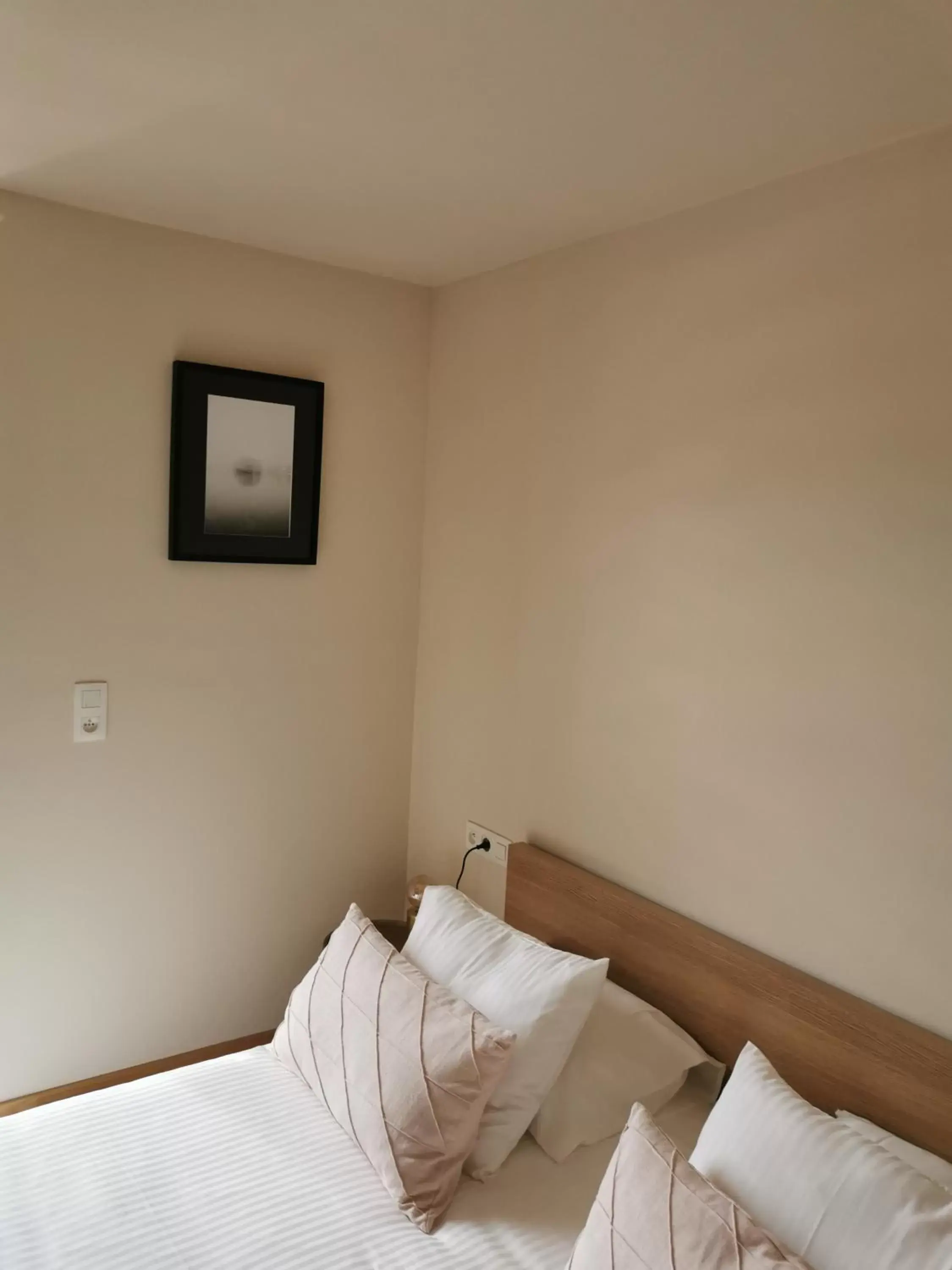 Double Room - single occupancy in La Majolique Double Room - single occupancy in La Majolique