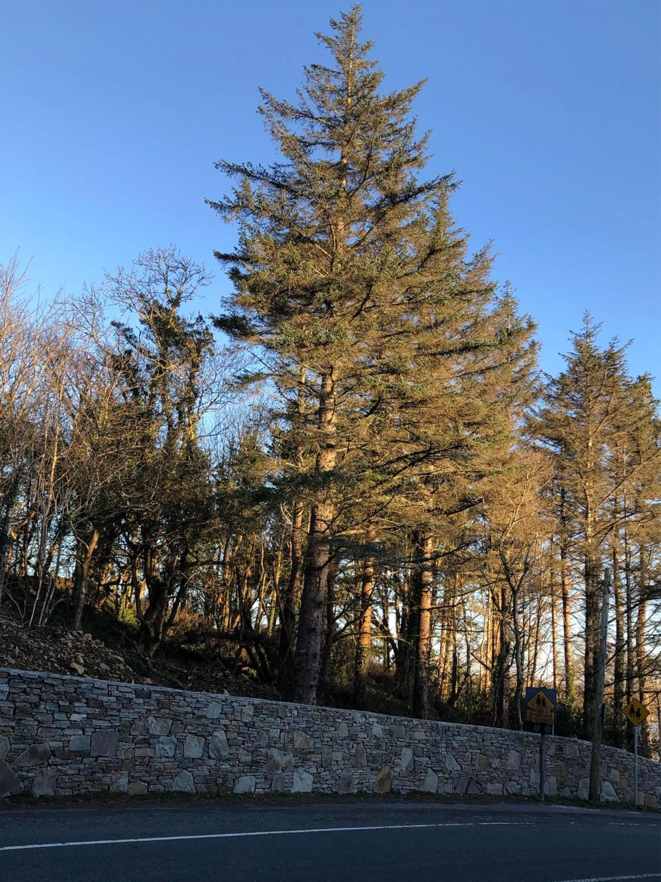 Day, Winter in Railway Avenue Rooms