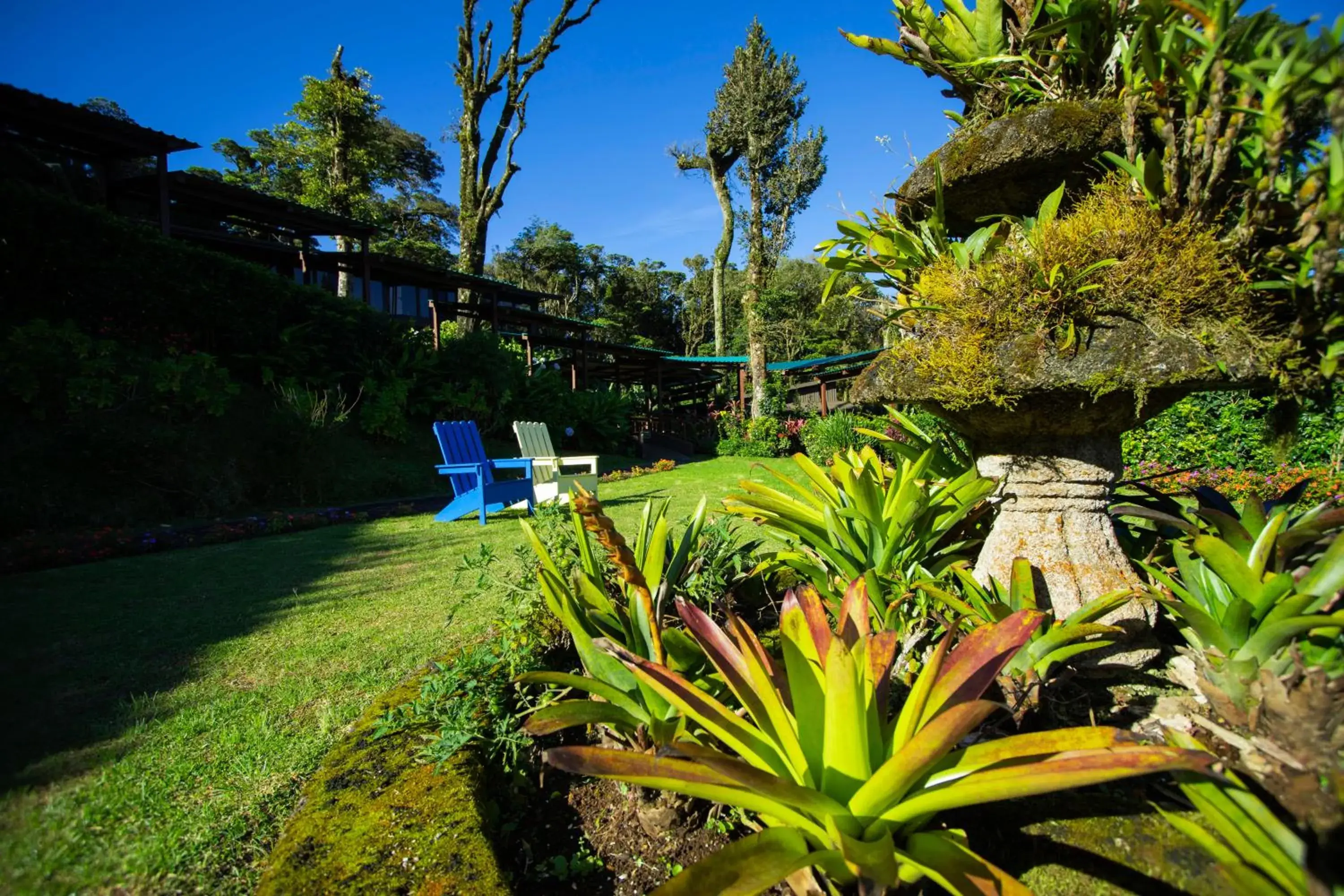Garden in Trapp Family Lodge Monteverde