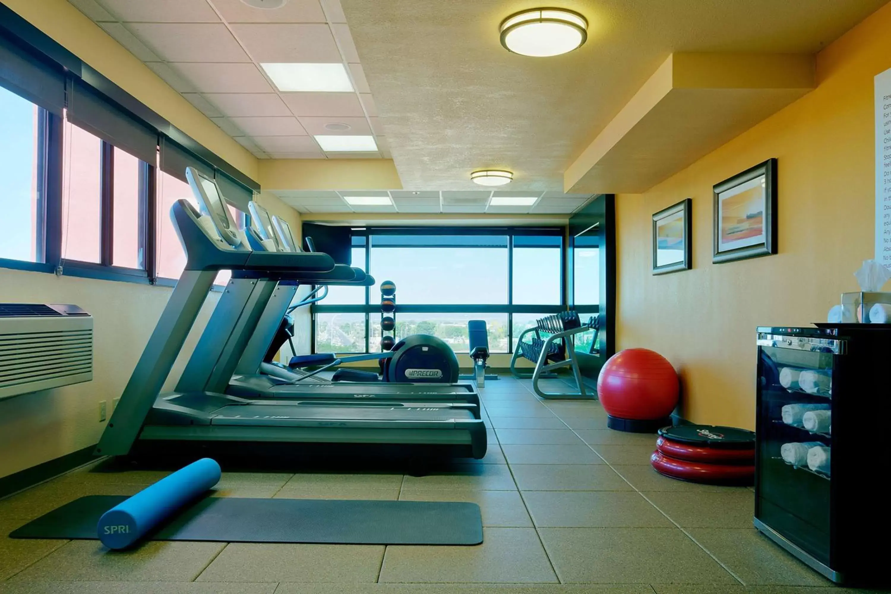 Fitness centre/facilities, Fitness Center/Facilities in DoubleTree by Hilton Santa Fe