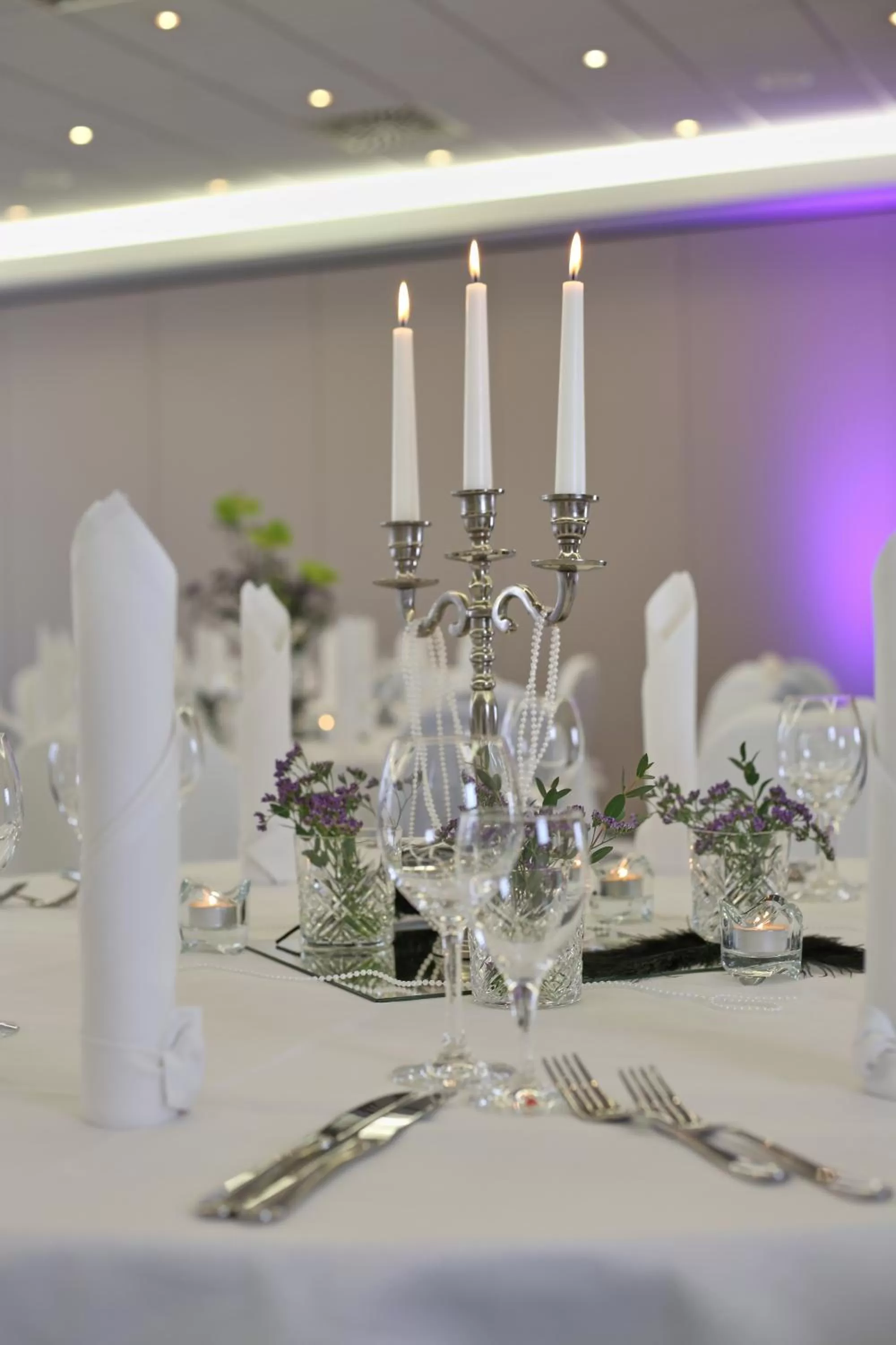 Banquet/Function facilities in HYPERION Hotel Leipzig