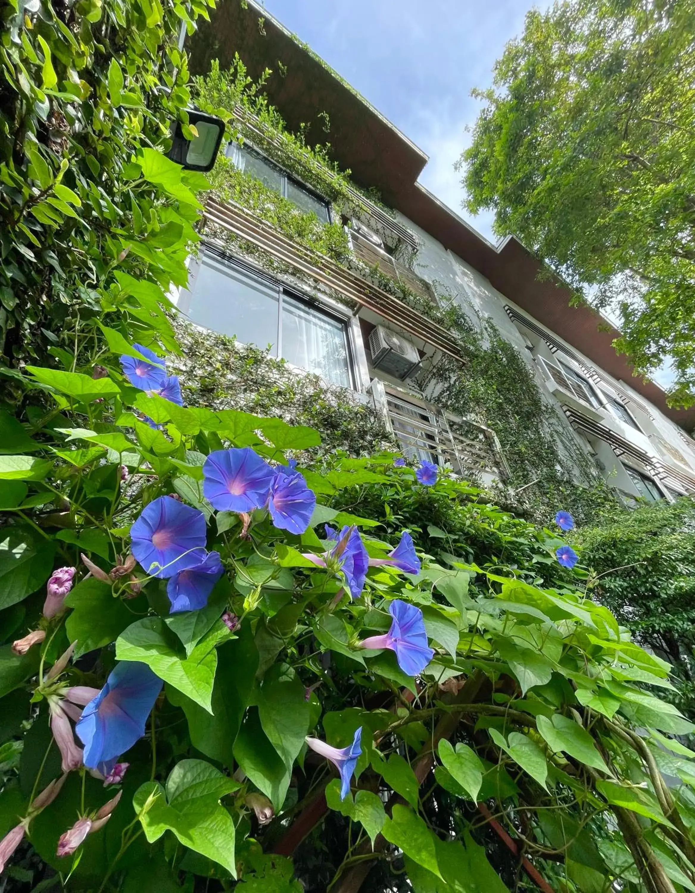 Property building in Ideo Phuket Hotel - Naiyang Beach Property building in Ideo Phuket Hotel - Naiyang Beach