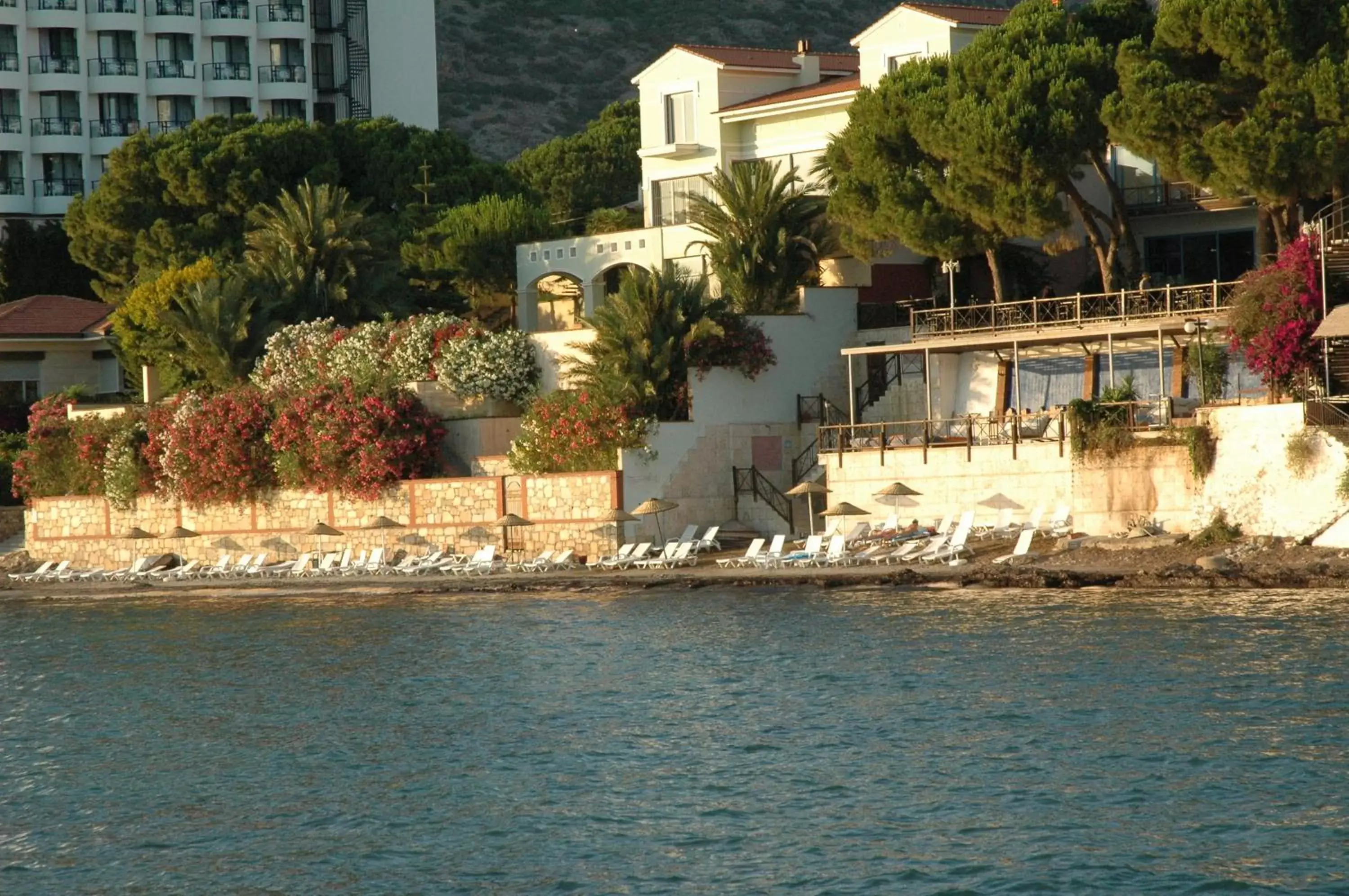 Beach, Property Building in Arora Hotel