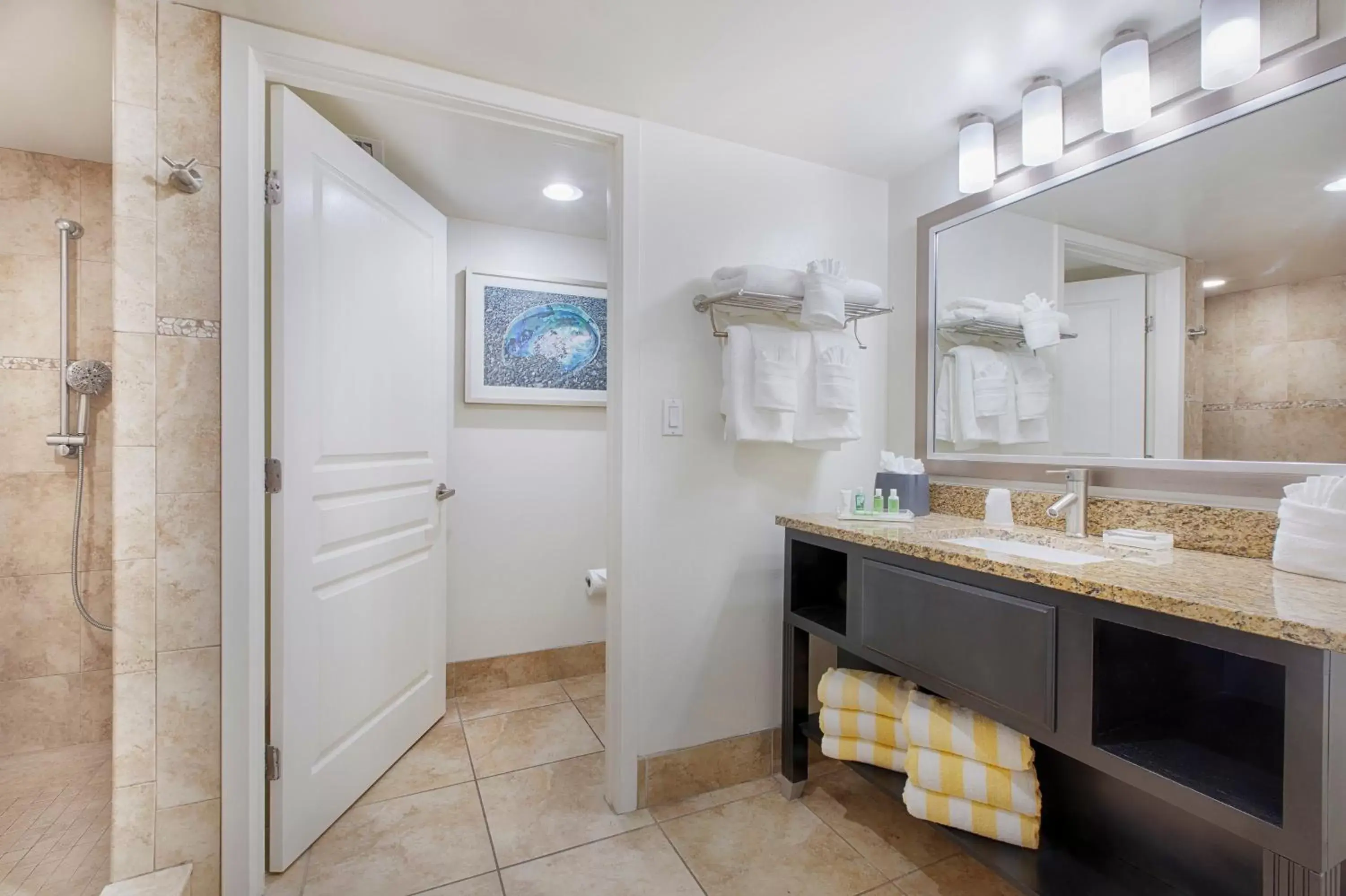 Bathroom in Holiday Inn Resort Daytona Beach Oceanfront, an IHG Hotel
