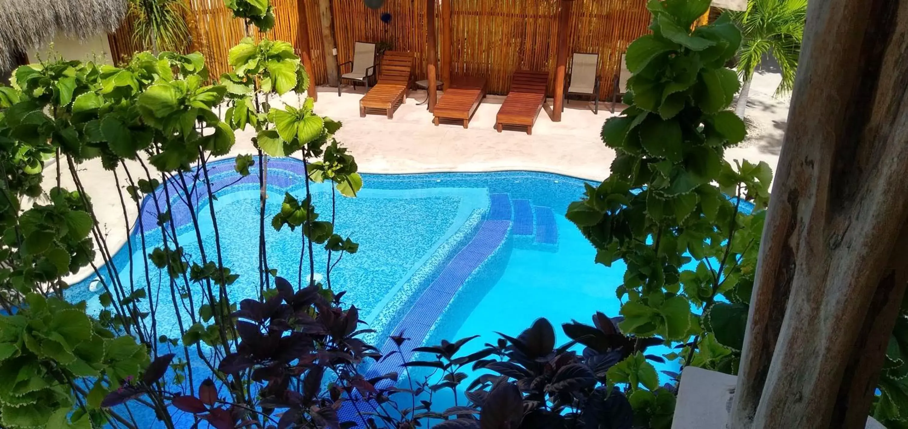 Pool View in Hotel & Suites Oasis Bacalar
