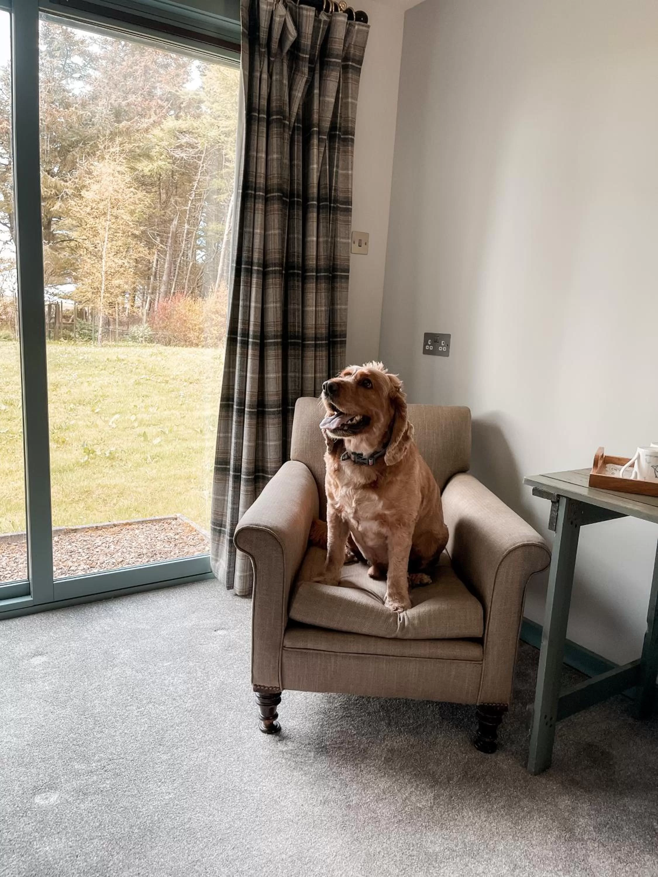 Seating area in Forss House