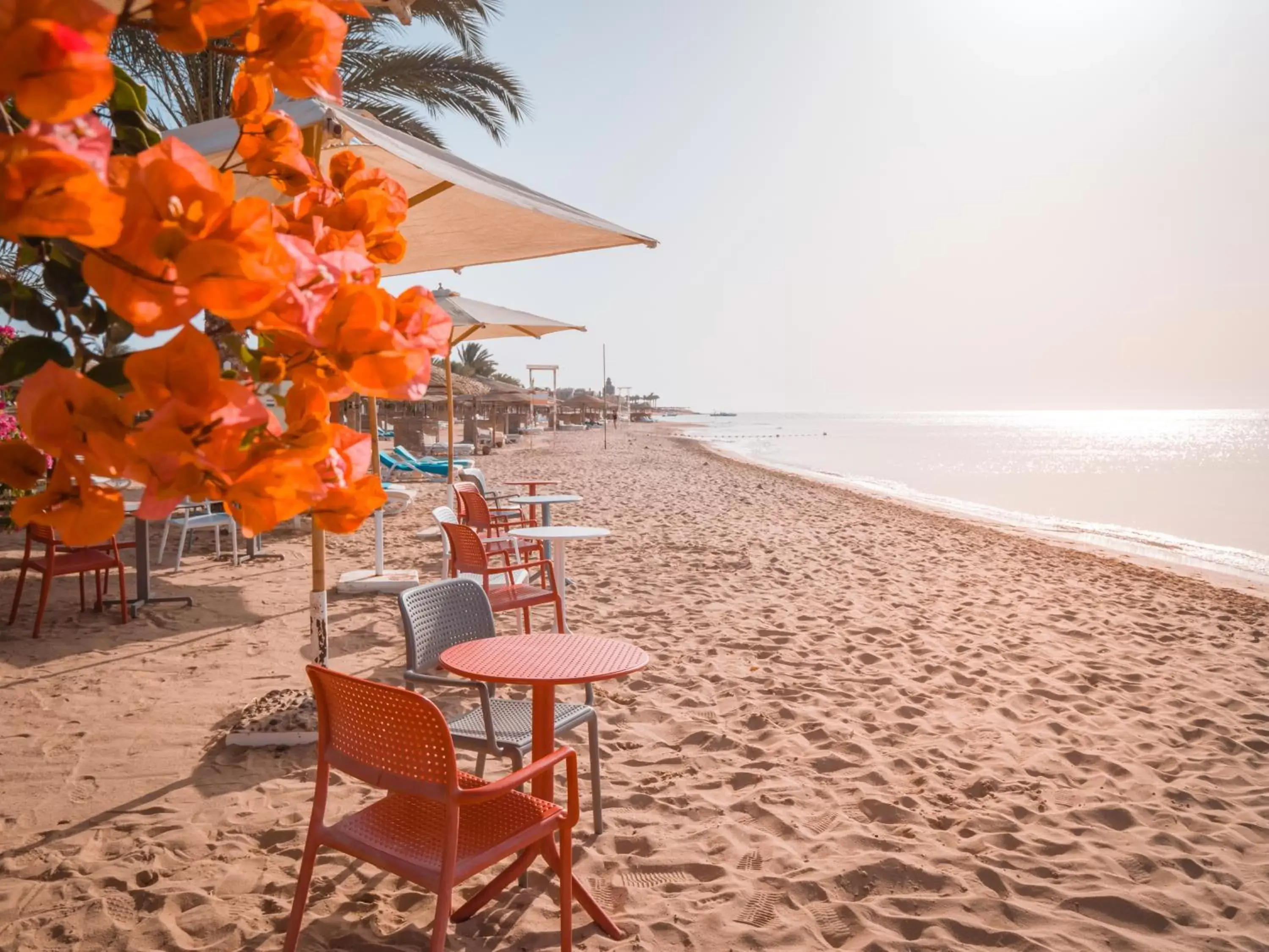 Beach in Fort Arabesque Resort, Spa & Villas