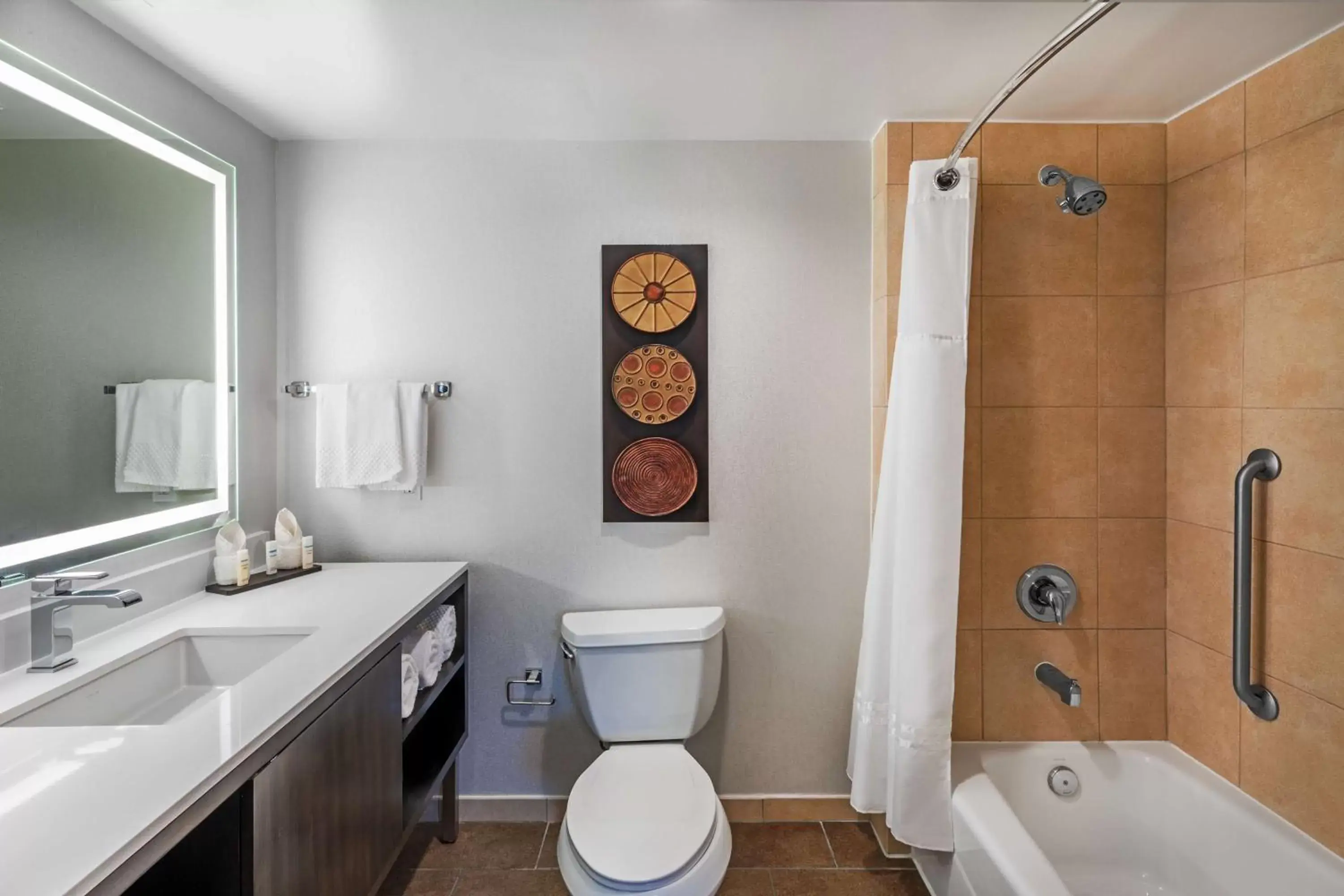 Bathroom in Embassy Suites by Hilton Houston-Energy Corridor