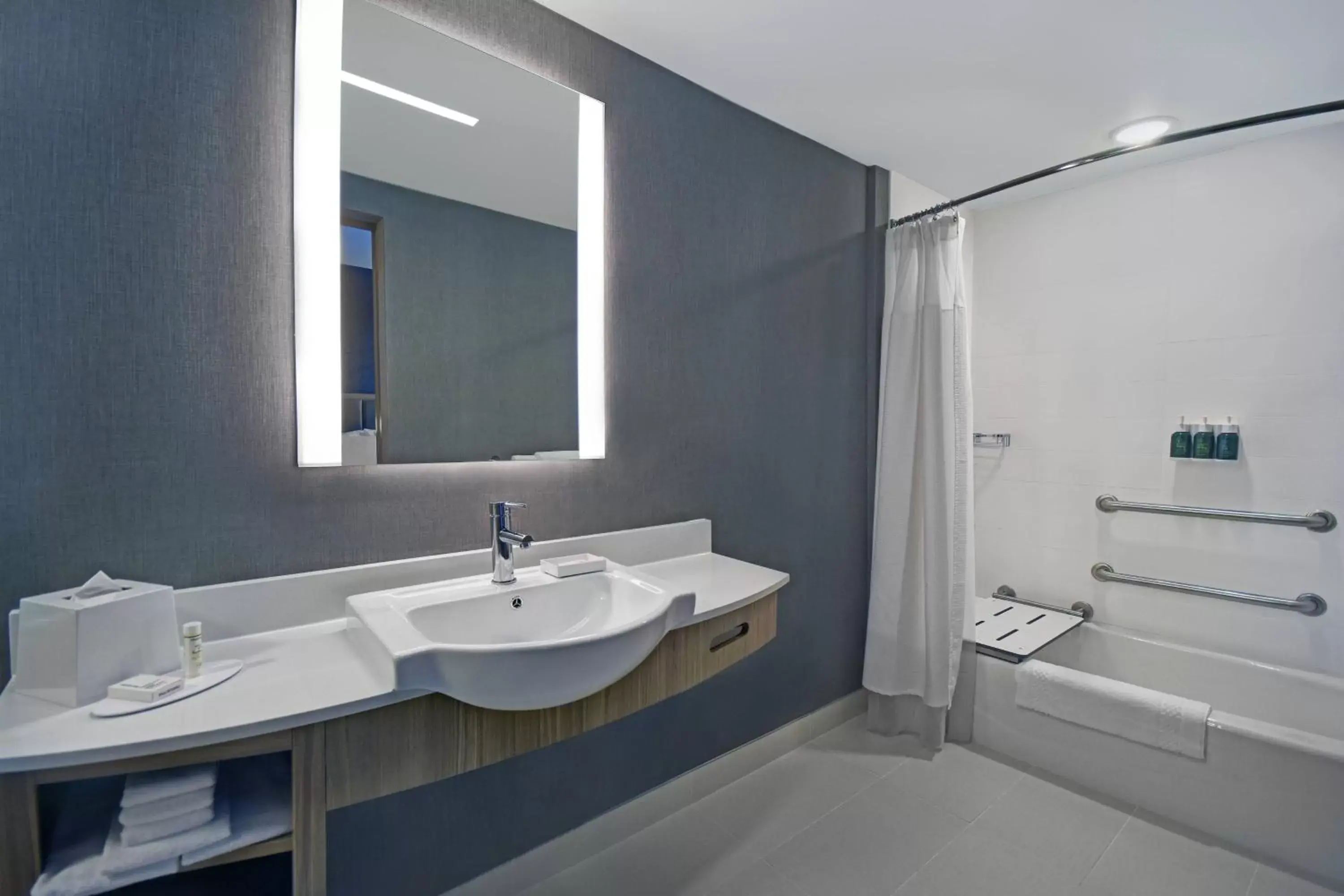 Bathroom in SpringHill Suites by Marriott St. Paul Arden Hills